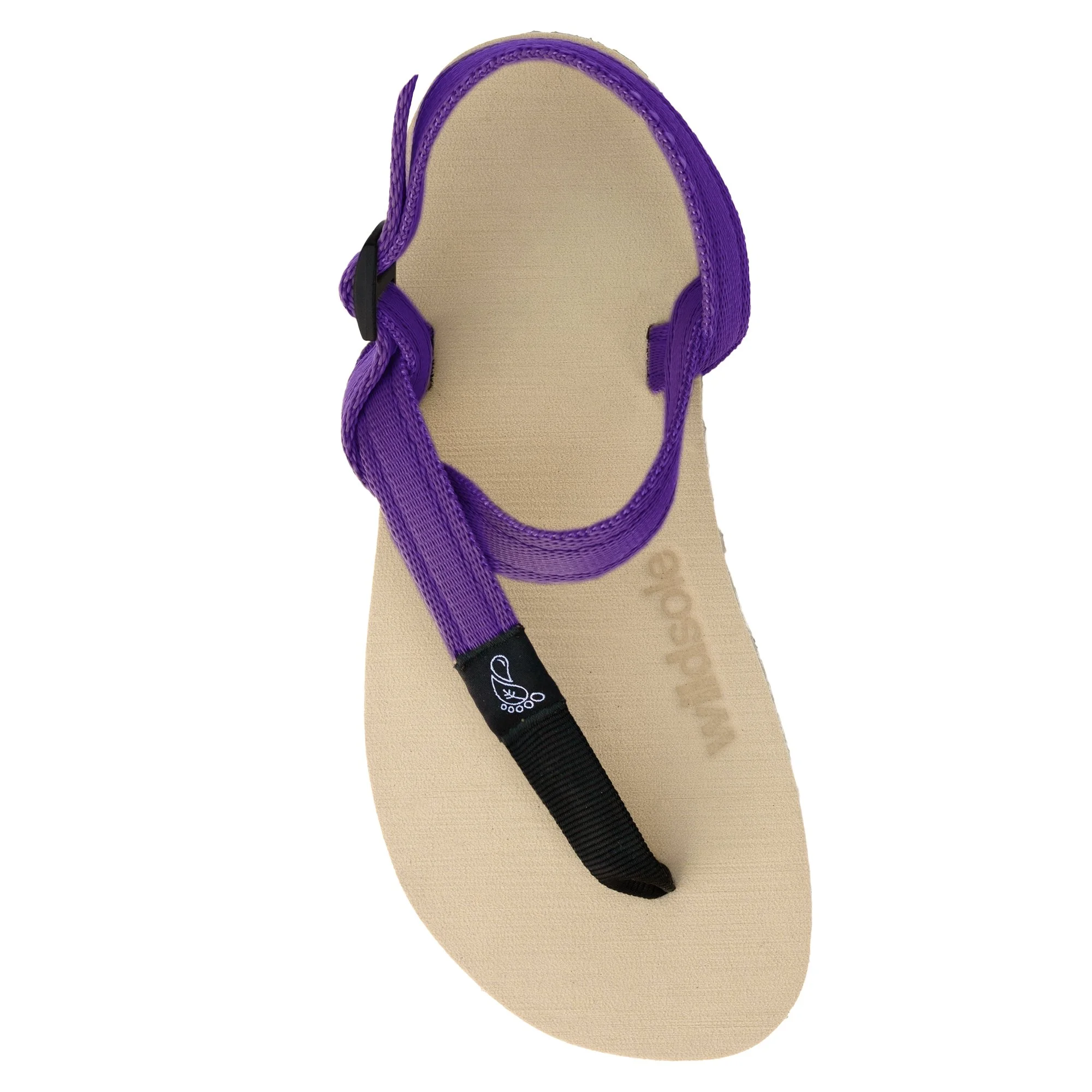 wildsoleHoneyBearPurple.jpg