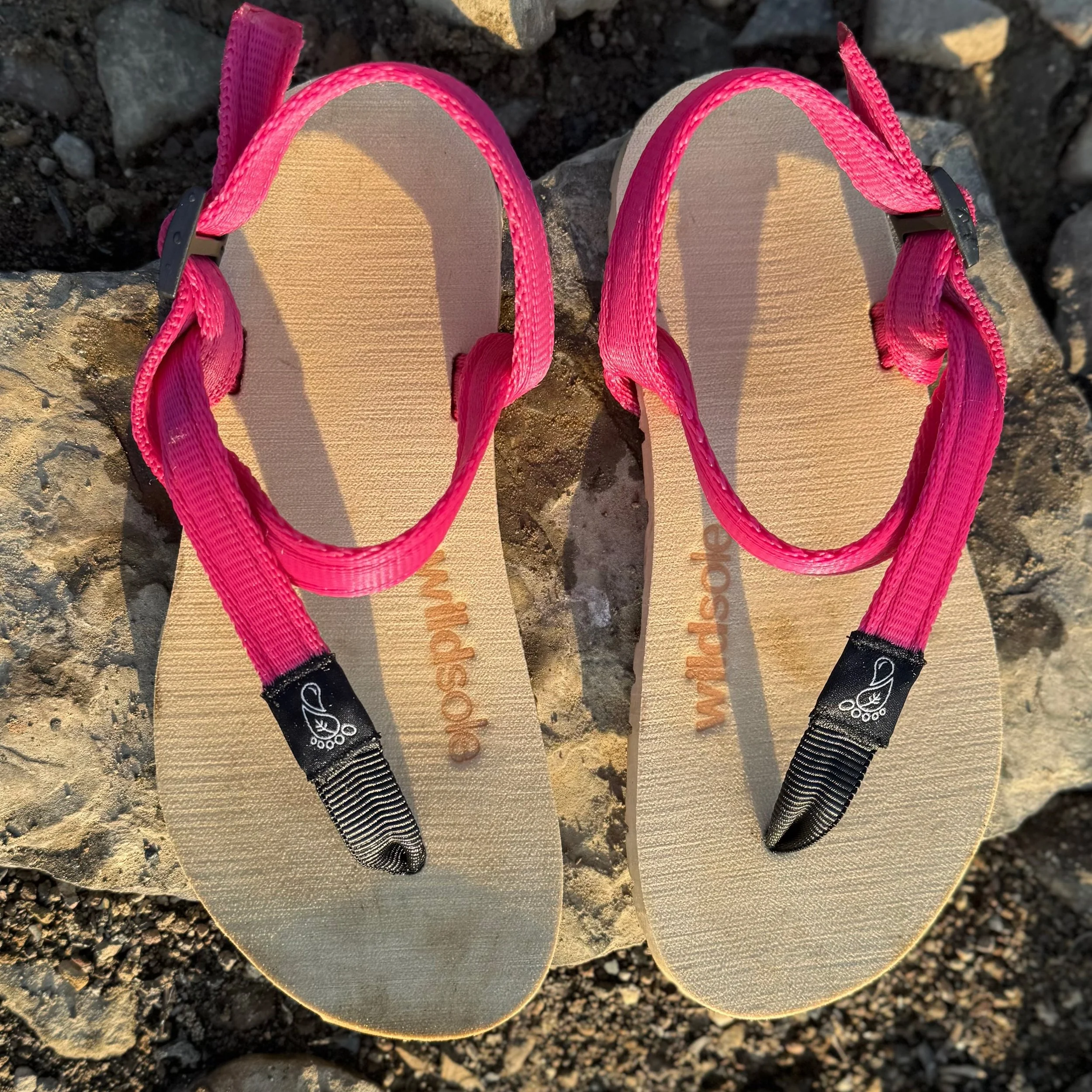 wildsoleHoneyBearPink2.jpg