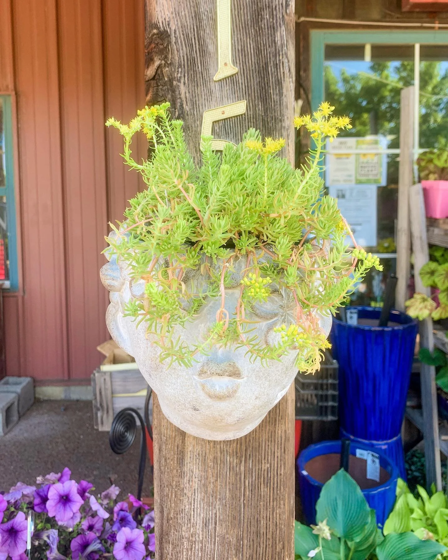 These gorgeous wall planters are a total MUST! 😍🪴🌷