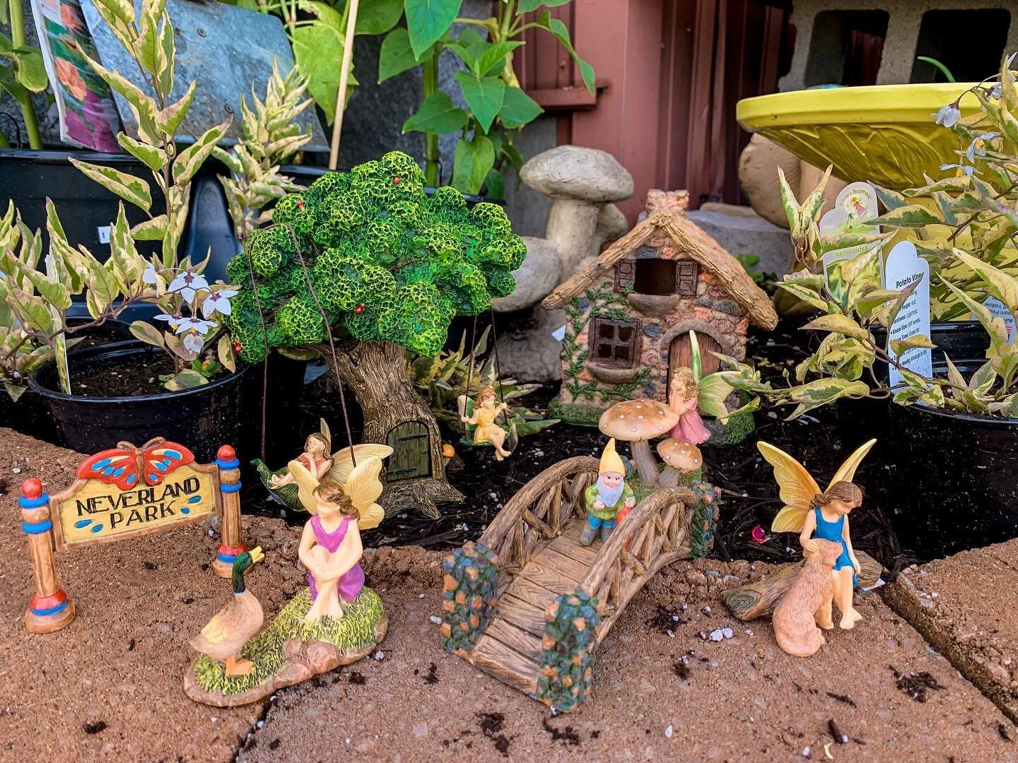 Create your own magical fairy garden with our cute collection 🧚🏼🪴