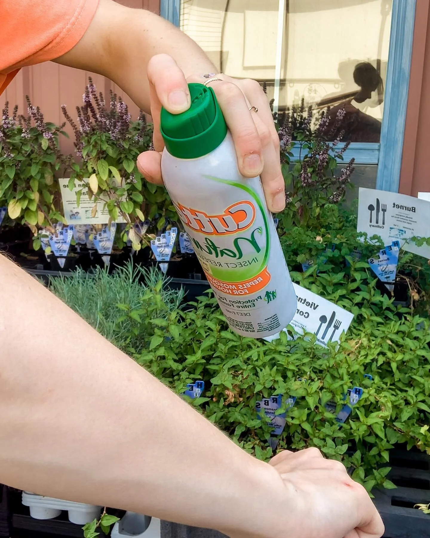 It&rsquo;s mosquito season! Instead of getting bit up this summer, get equipped with all things bug repellent and control at OK Hatchery! 🦟😉👌🏼