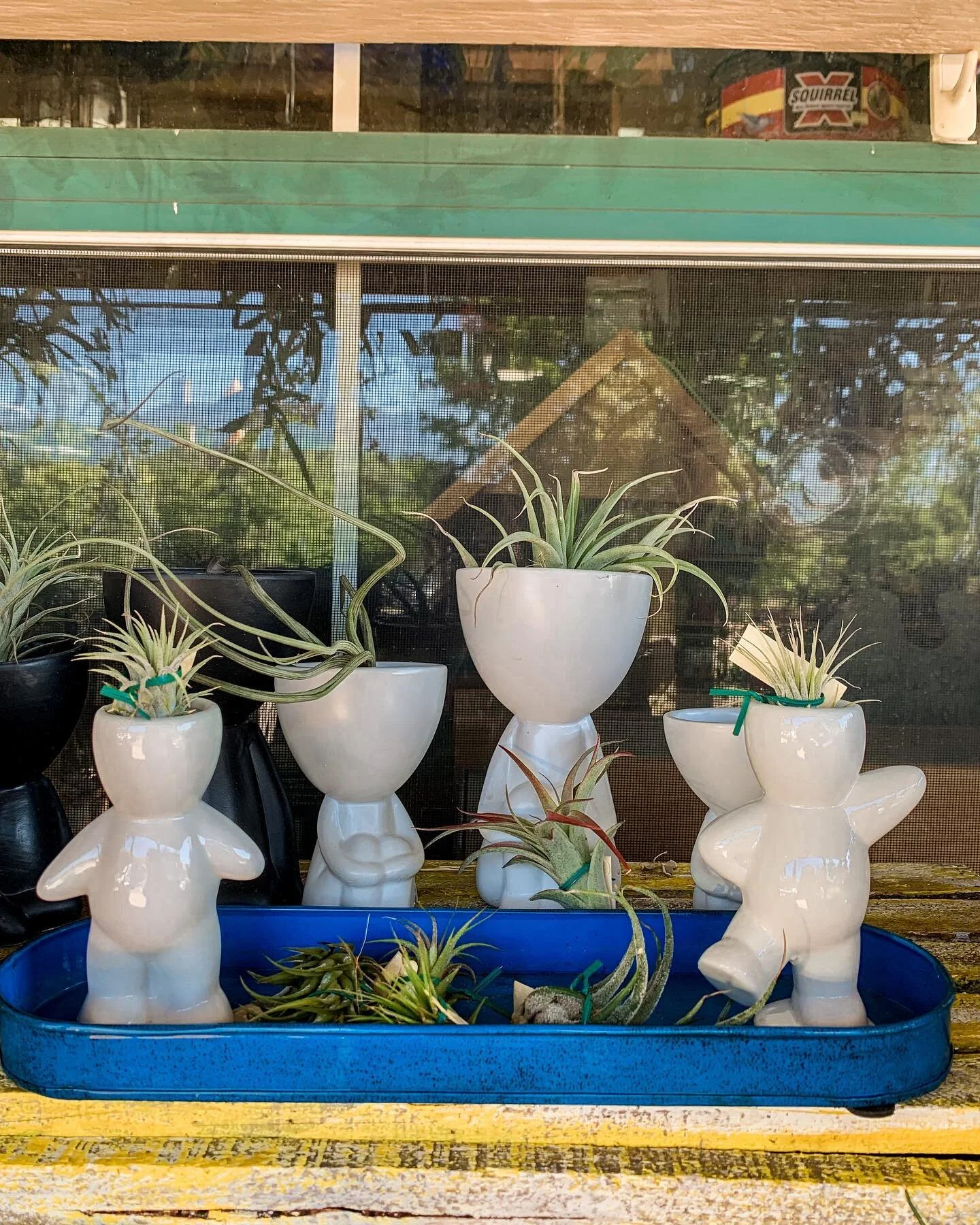 Absolutely LOVING these little people planters for air plants and more! 😍🪴🌱