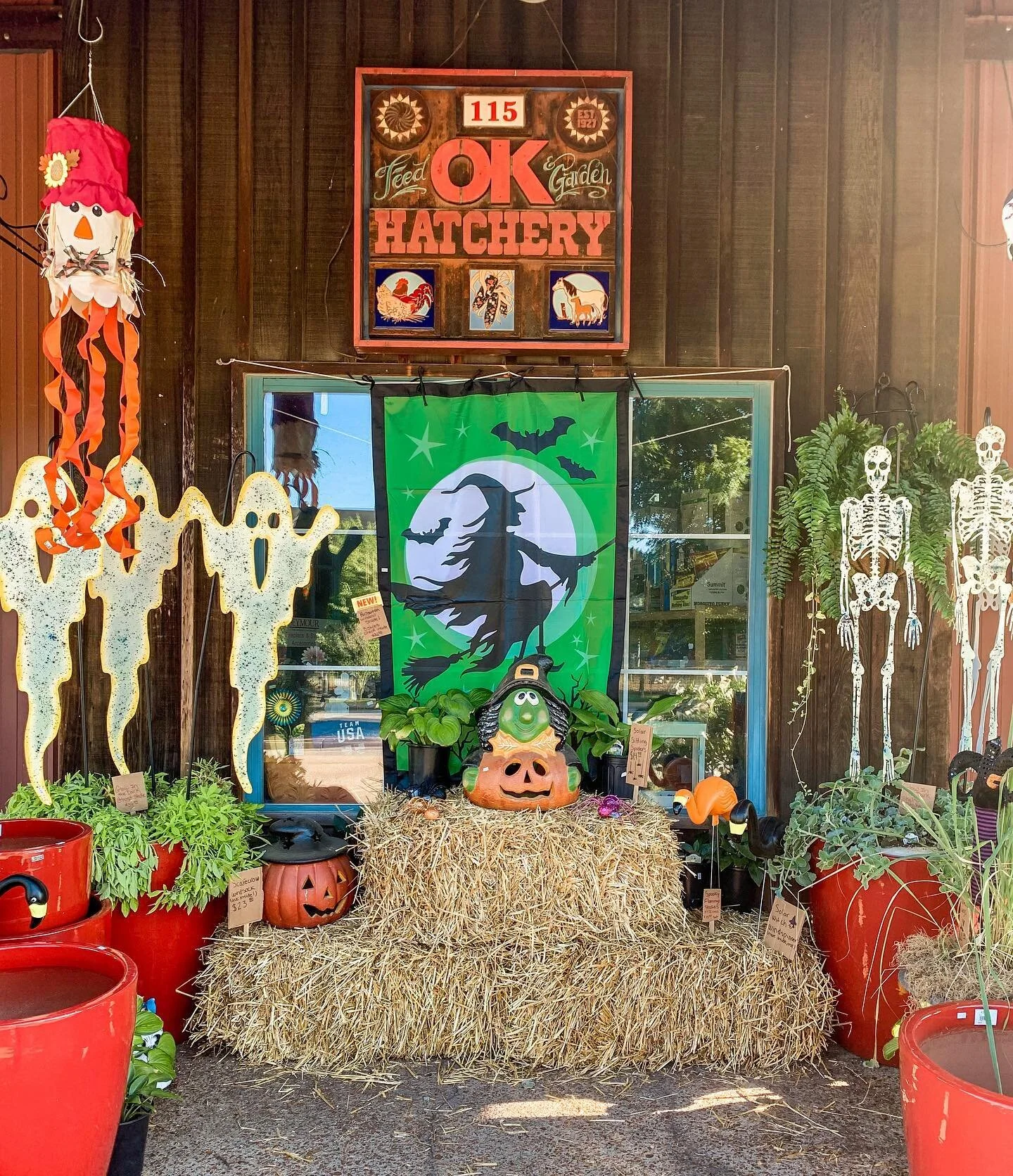 🎃🕷👻Calling all Ghouls and Goblins!! Here&rsquo;s a SPOOKY sneak peek at our fall and Halloween decor!👻🕷🎃