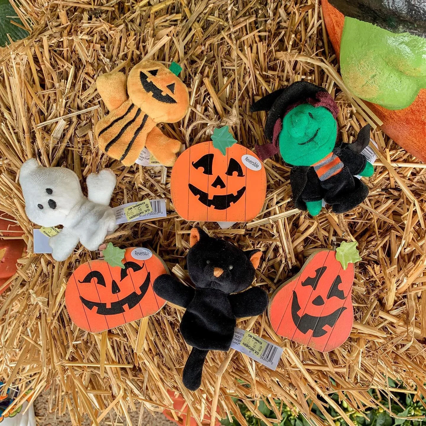 Celebrating 👻🕷🎃Halloween🎃🕷👻 in a smaller way? Come check out some of our spooky knickknacks!