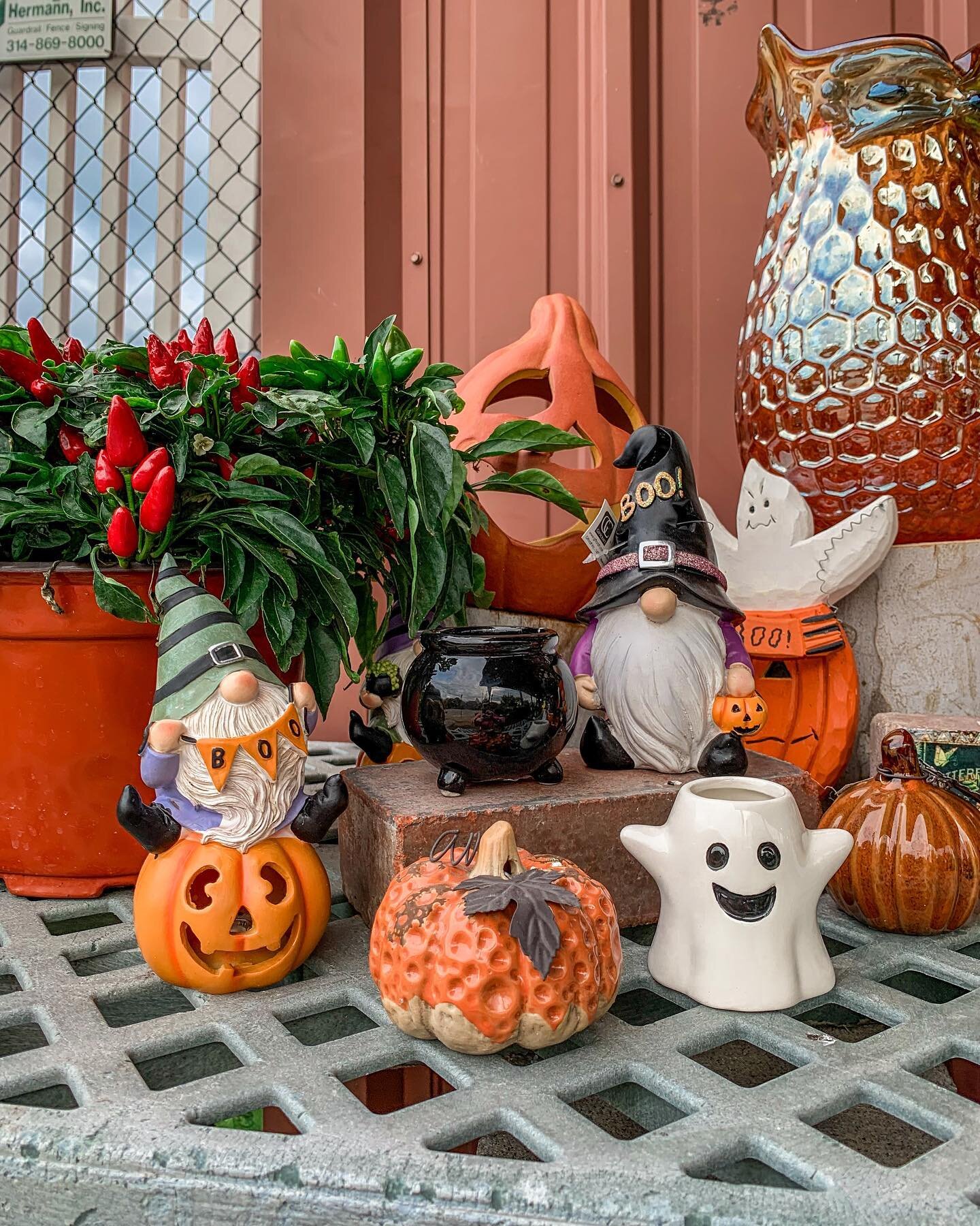 It&rsquo;s not too late to get 👻spooky👻 this Halloween! Shop decor and more🎃🛍️
