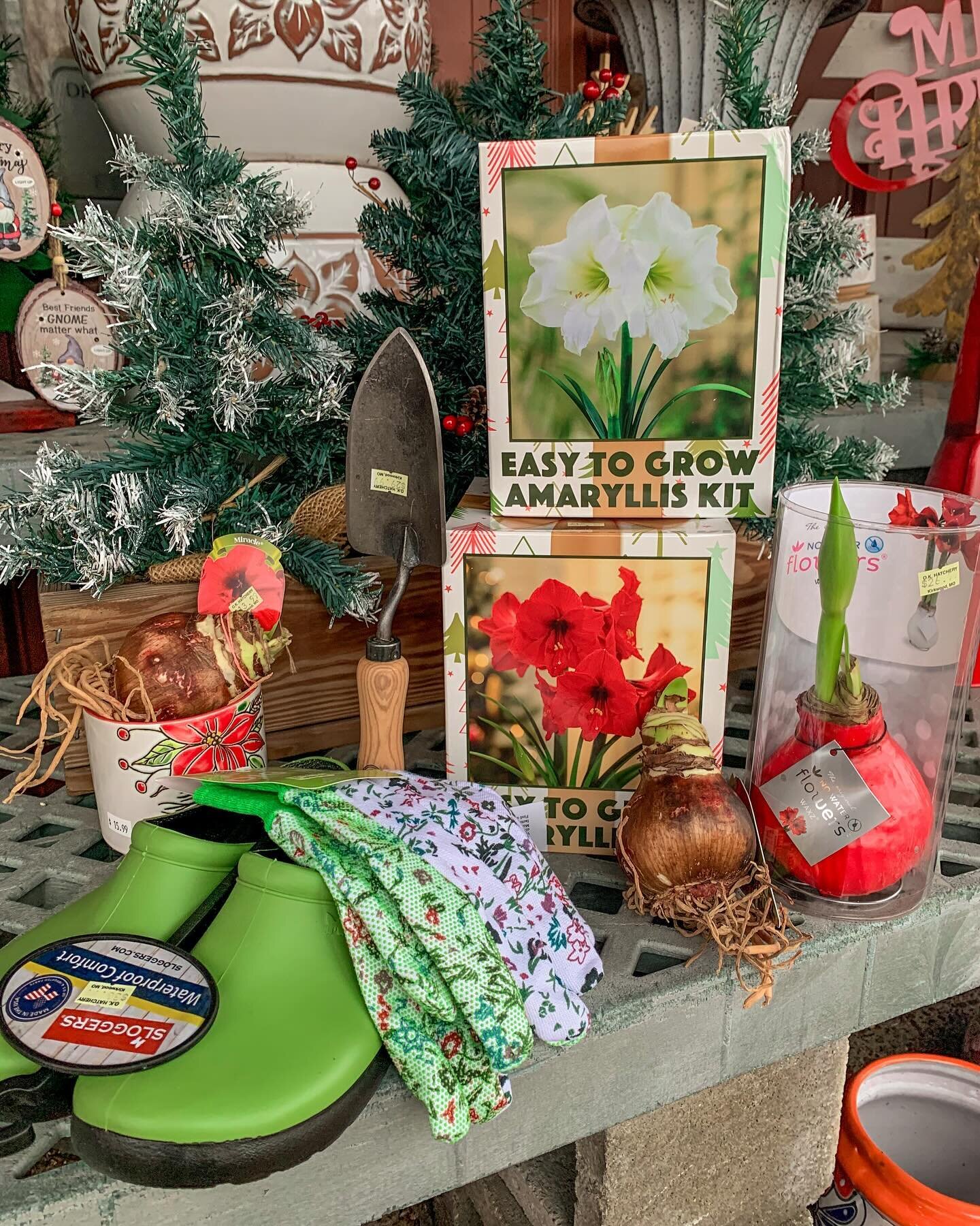 Give the gift of a hobby this Christmas🎄! From feeding the birds🐤, to planting a beautiful garden🪴! There&rsquo;s tons of fun activities for all to enjoy here at OK!