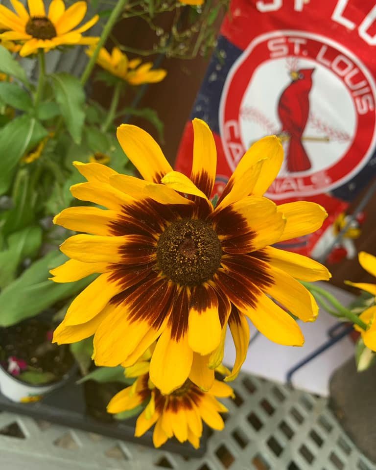 Garden Brands — O.K. Hatchery