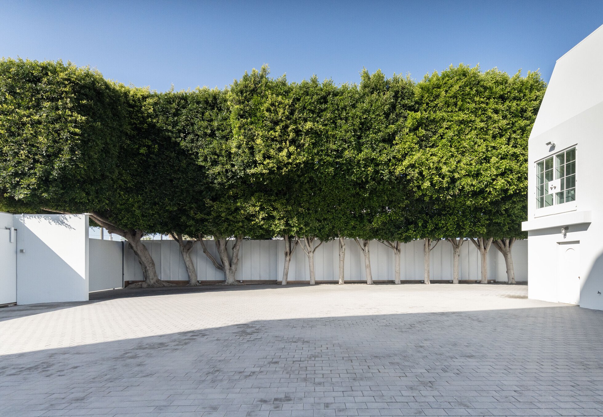 57-69-Windward-Ave-Venice-CA-Courtyard.jpeg