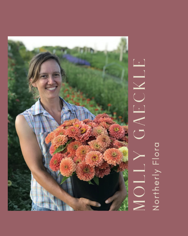 Screenshot 2026-03-10 at 9.34.53 PM.png