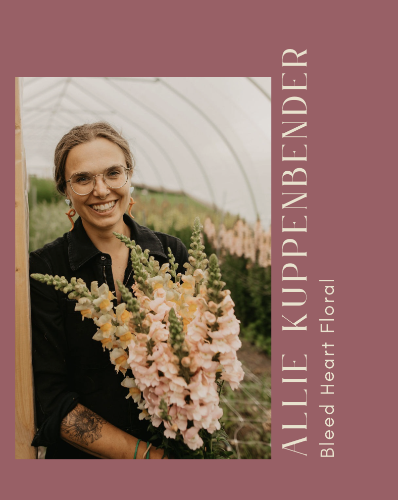 Screenshot 2026-03-02 at 7.25.12 PM.png