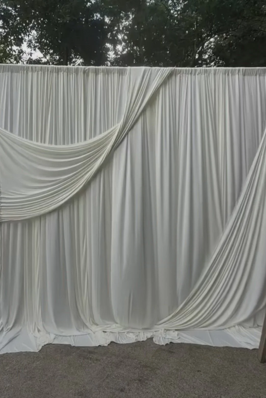 IMG_8631.jpg