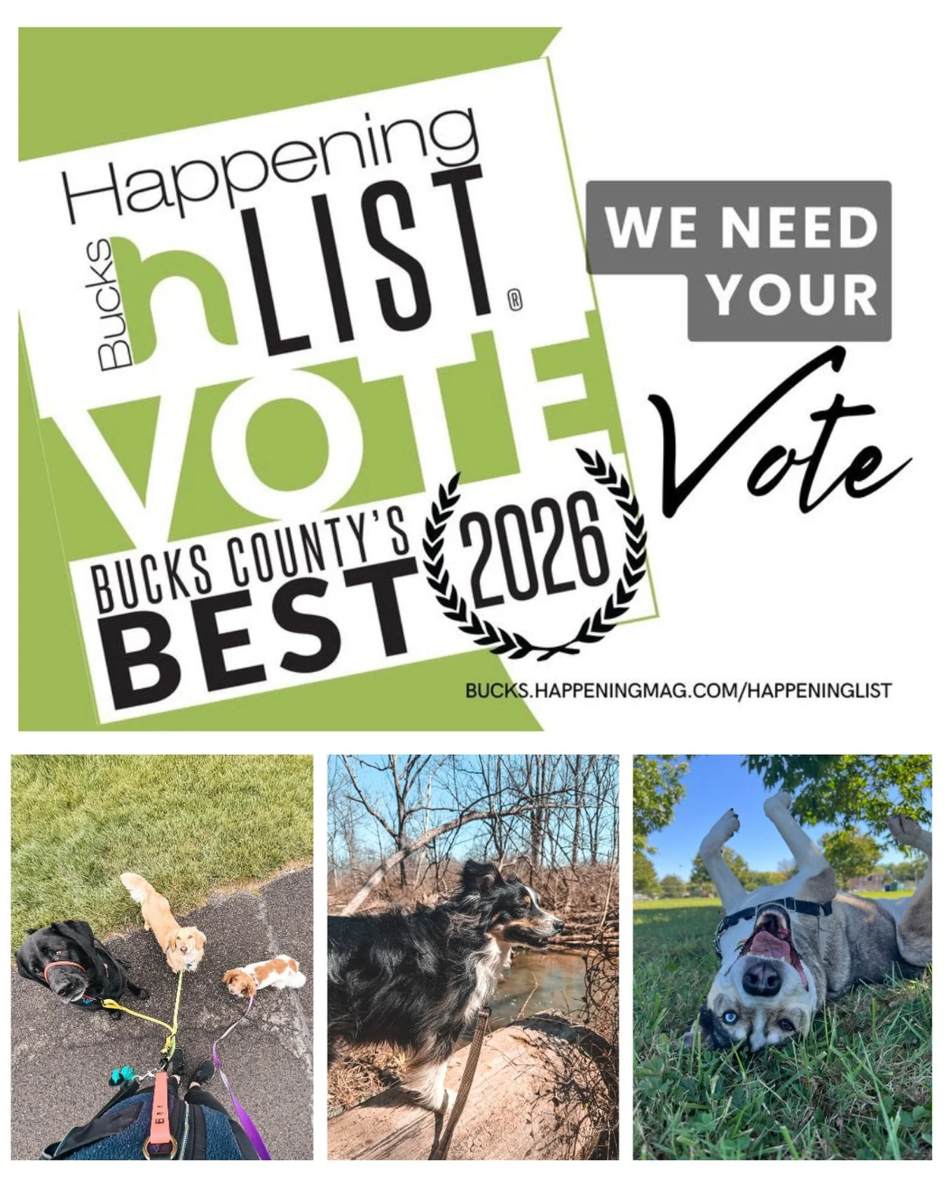 We&rsquo;re so excited to share that hi. good dog. was nominated for Best in Bucks 2026 for Dog Walker &amp; Pet Sitter 🤍

This business exists because of our amazing community and the dogs we get to love every day. If you&rsquo;ve ever supported us