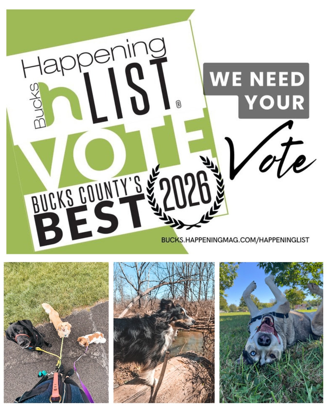 We&rsquo;re so excited to share that hi. good dog. was nominated for Best in Bucks 2026 for Dog Walker &amp; Pet Sitter 🤍

This business exists because of our amazing community and the dogs we get to love every day. If you&rsquo;ve ever supported us