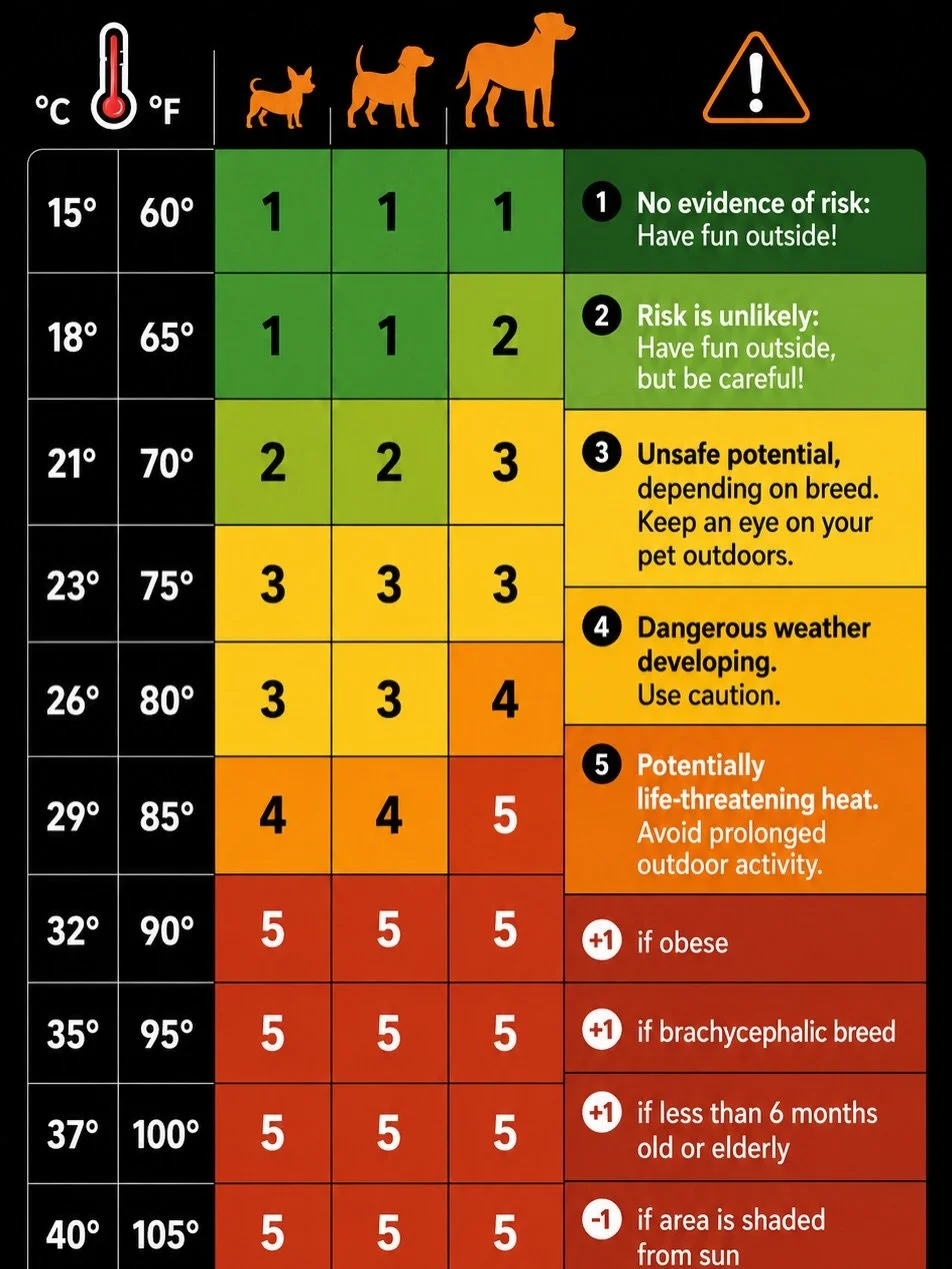 It&rsquo;s officially that time of year again.

Heat protocol is back.

On hot days, we may swap full walks for quick potty breaks, shady sniff sessions, backyard hangs, enrichment, or indoor play depending on the weather and your dog&rsquo;s individ