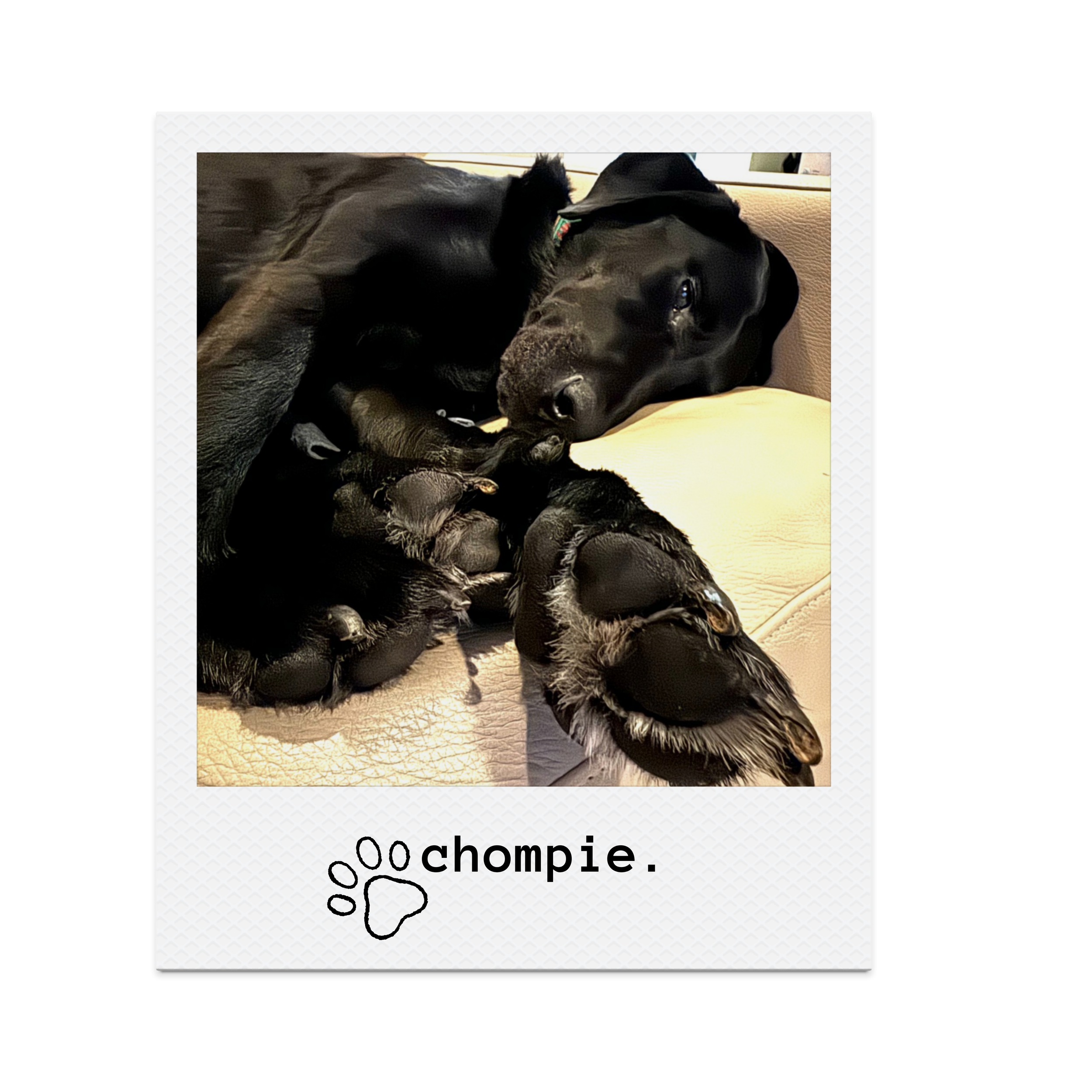 Almost overnight service bucks county pa