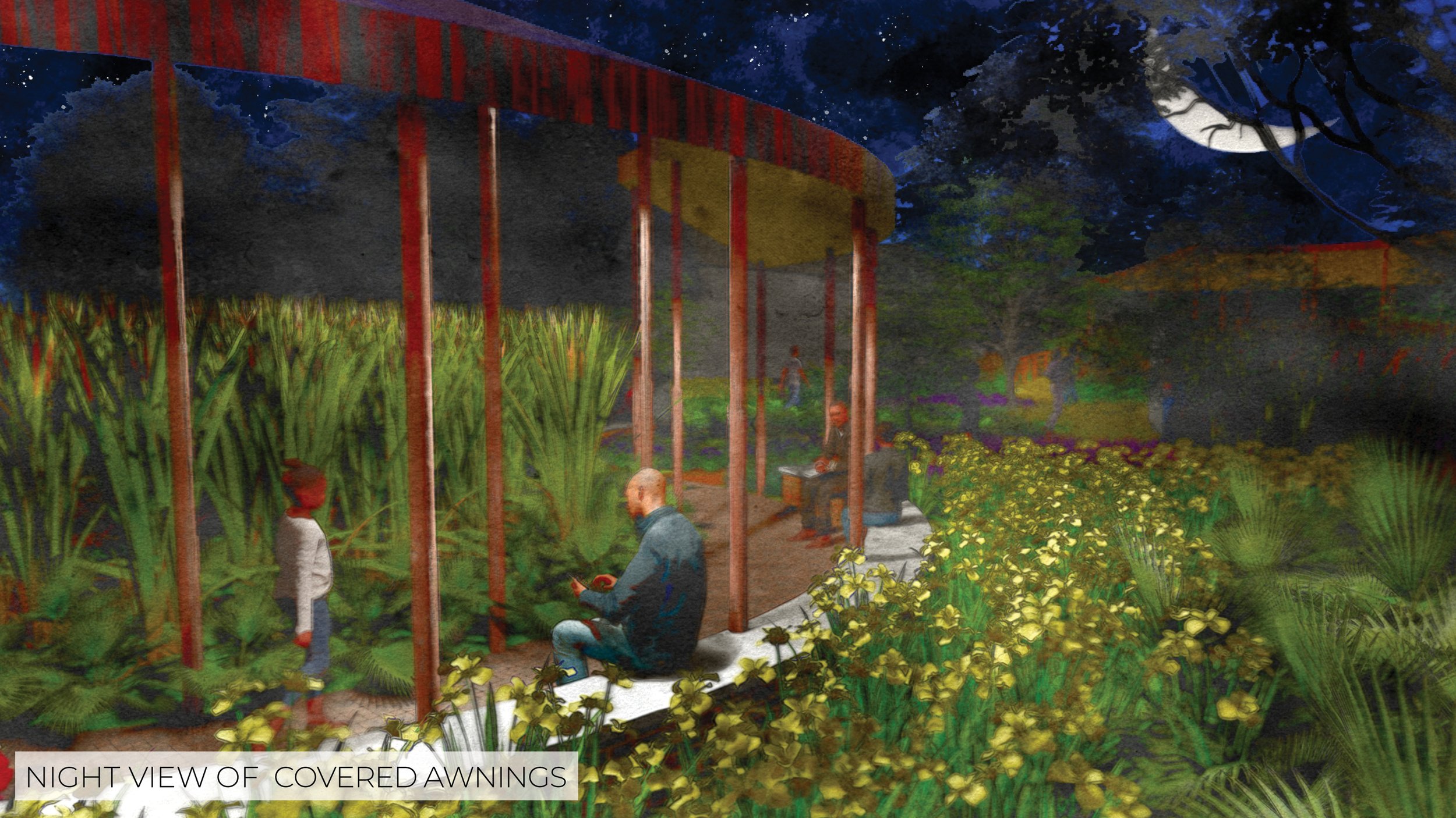 NIGHT VIEW OF GARDEN .jpg