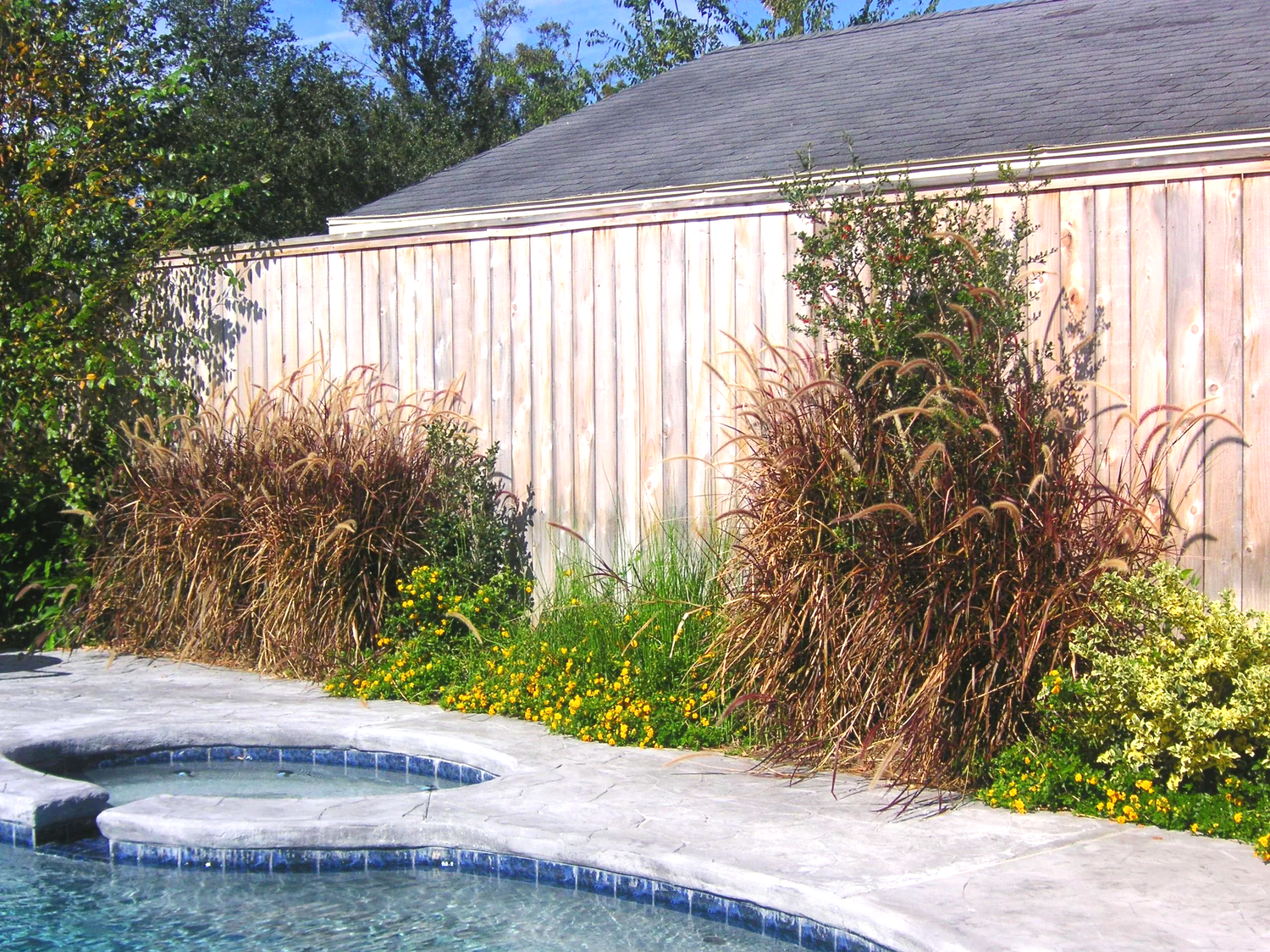 Nevue Residence courtyard and pool