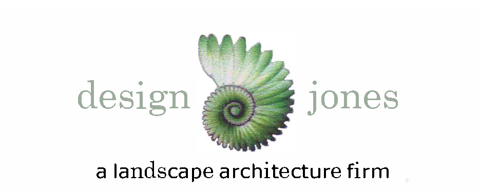 Design Jones LLC