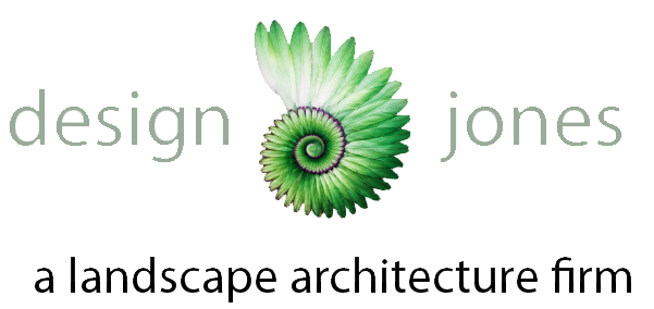 Design Jones LLC