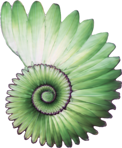 DesignJones logo