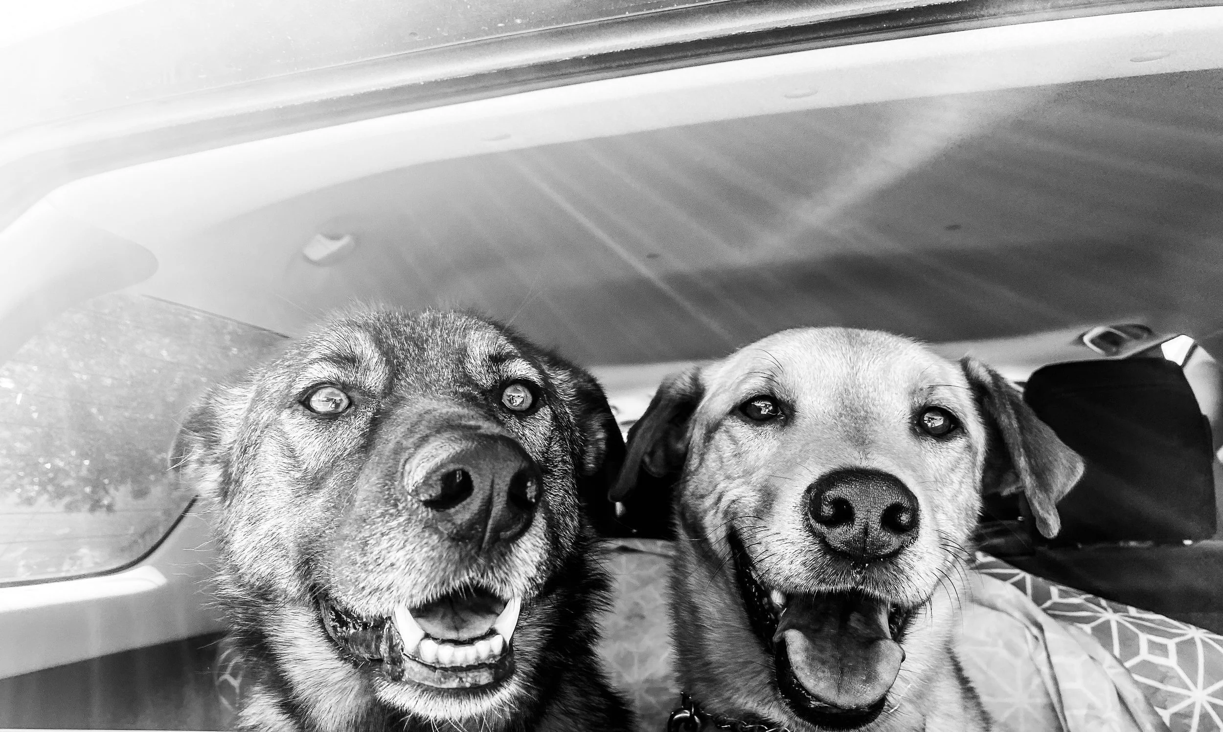 Copy of Copy of IMG_9410.jpg