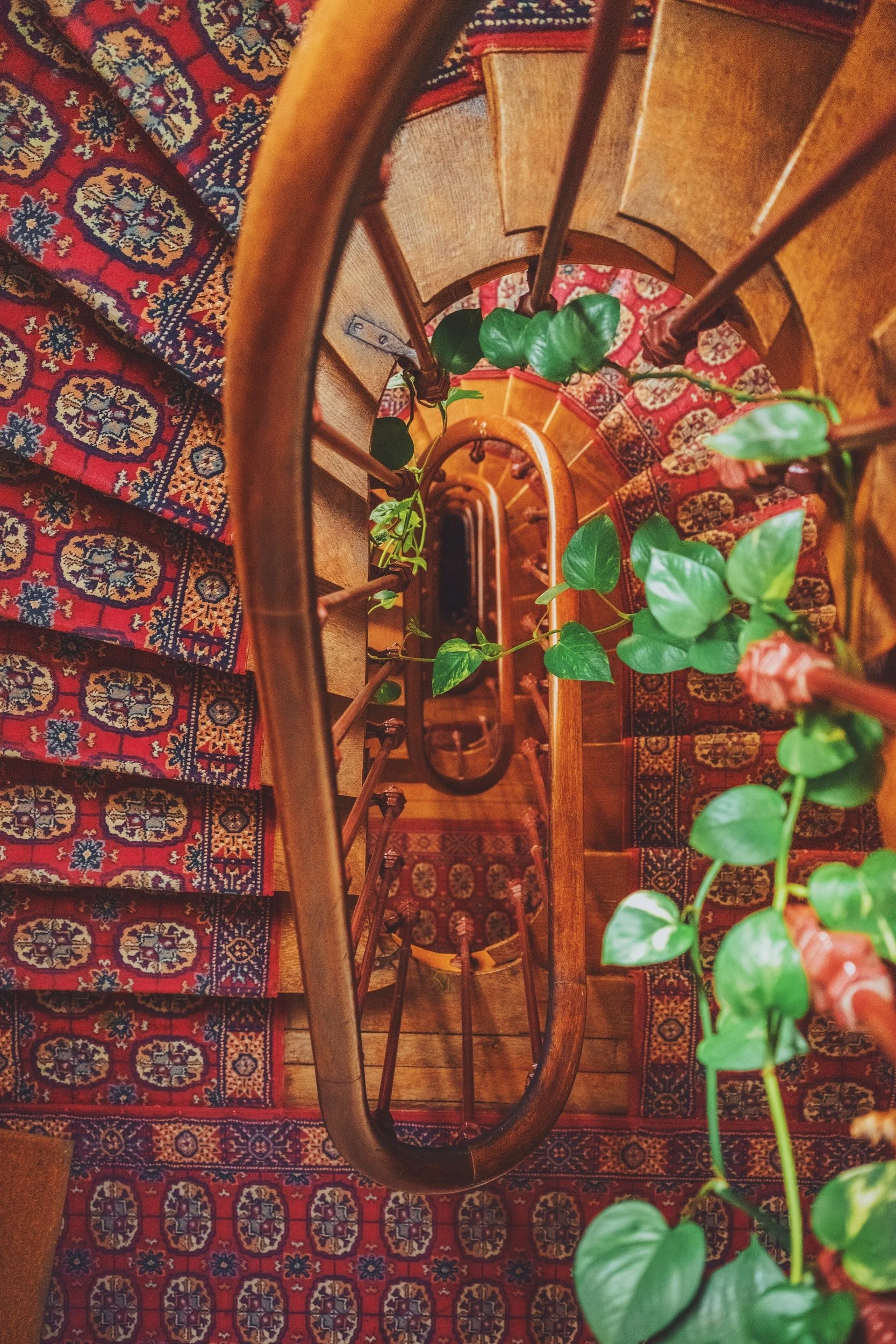 unsplash-image-nTcKzJ9XrmI.jpg