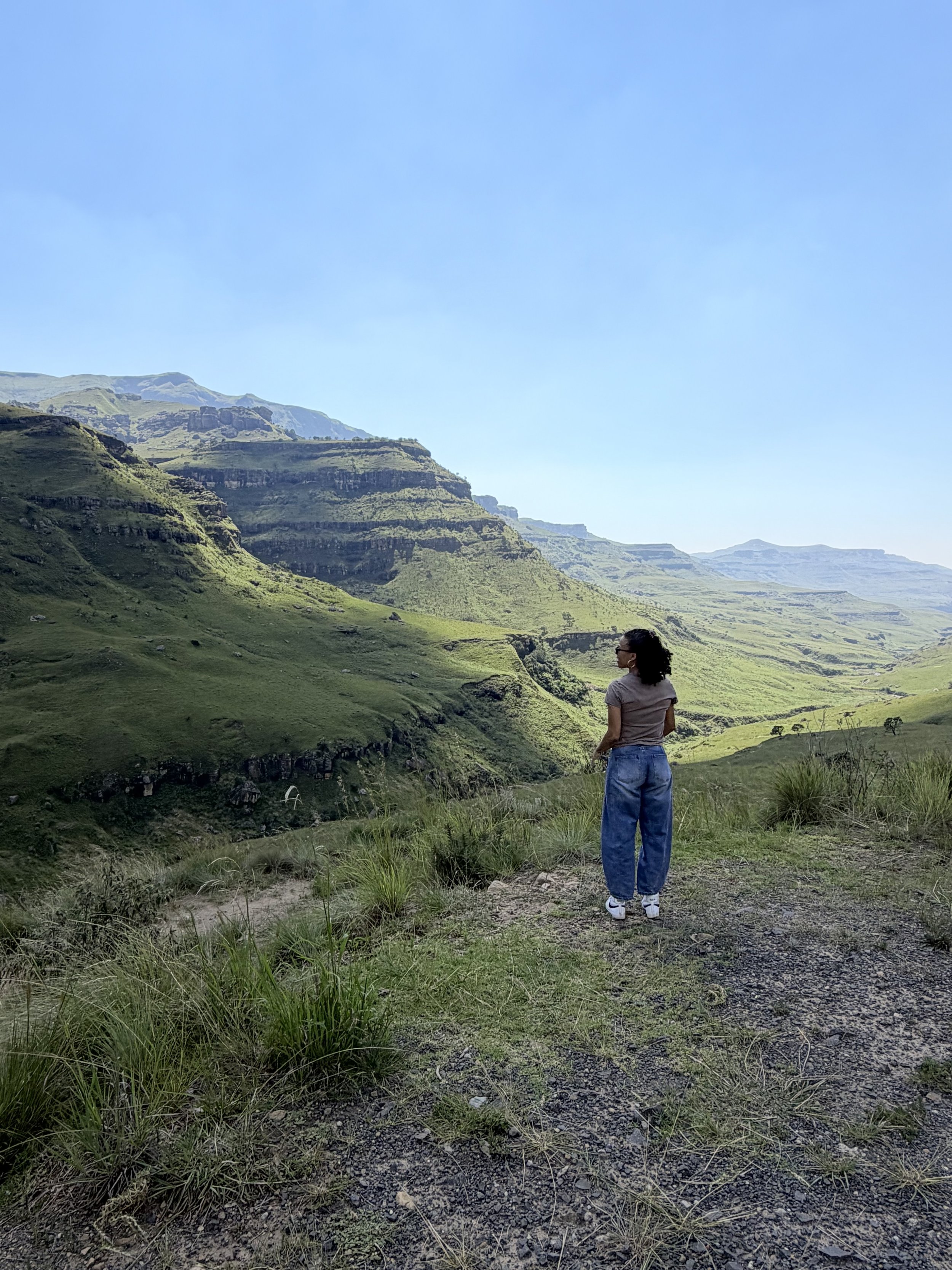 From Safari Views to Living Room Grace