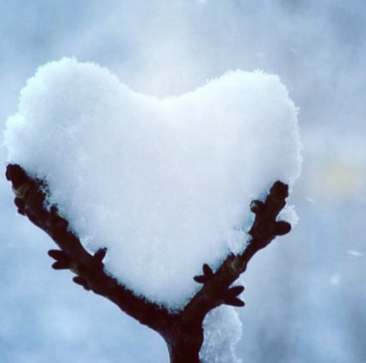 Seasonal Depression? Overcome the Winter Blues with Natural Strategies