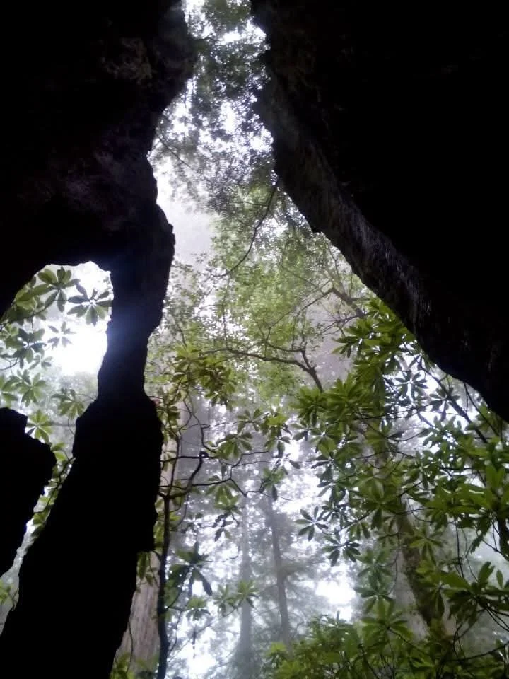 Chrysalis Awakening: A Spring Equinox Tribute to the Soul