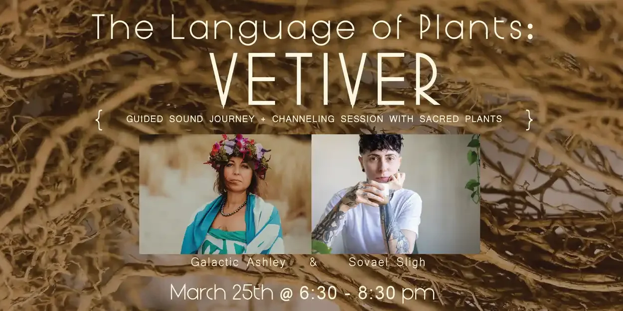 The Language of Plants: Explore Vetiver