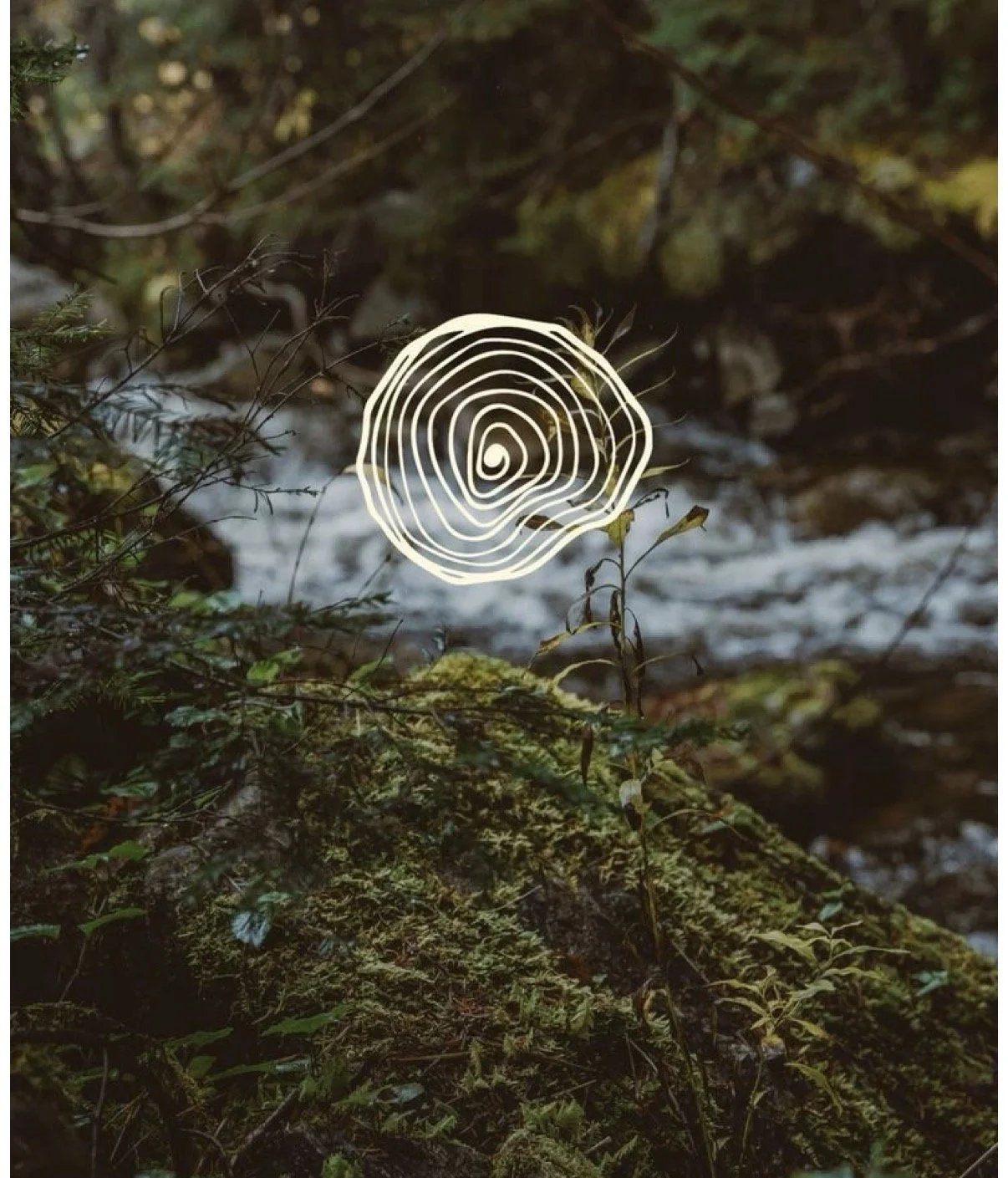 Somatic Breathwork 
