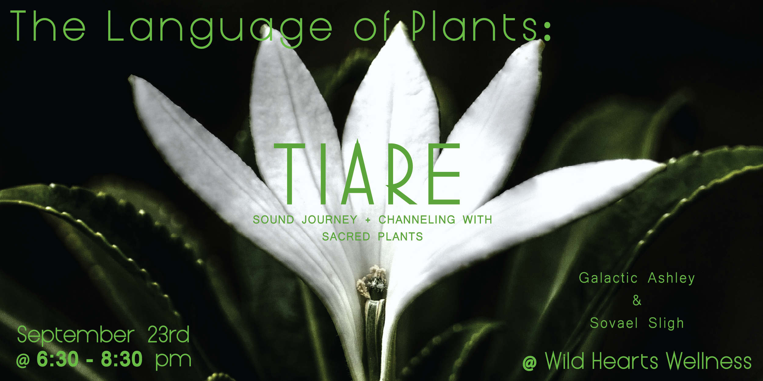 The Language of Plants - with Galactic Ashley &amp; Sovael Sligh