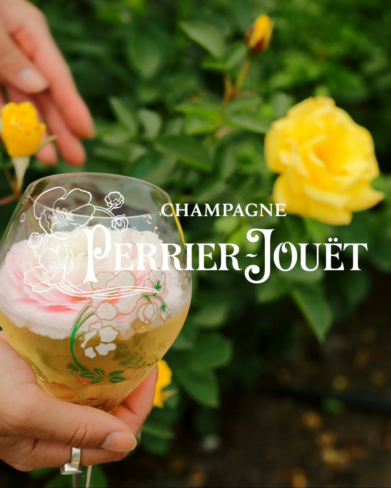 Perrier Jouet Champagne x San Ysidro Ranch