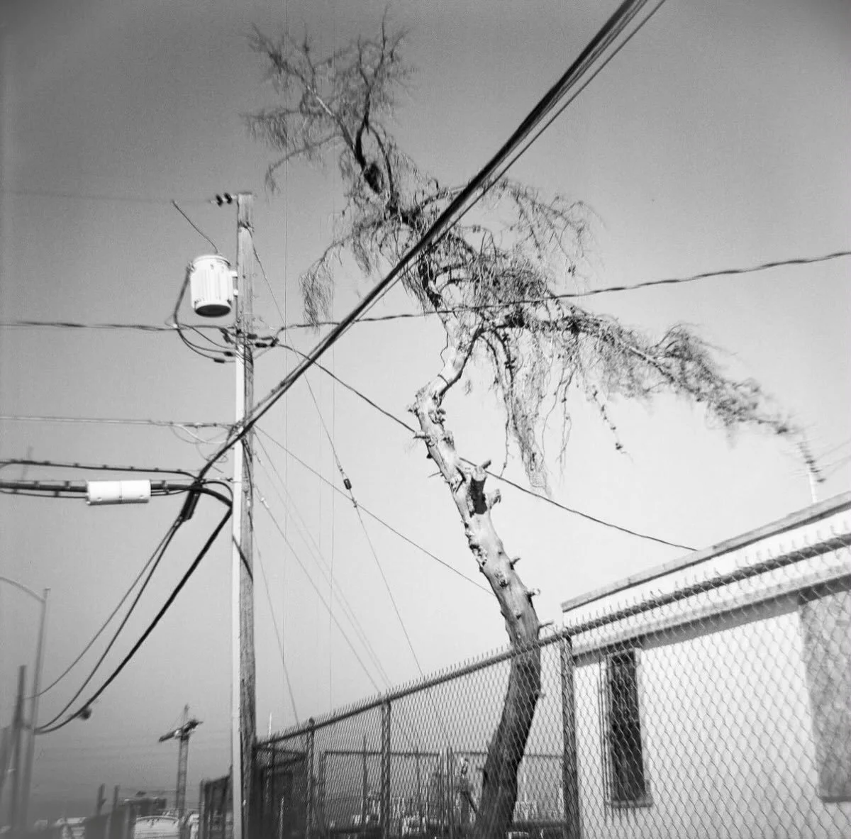 Get @reshare_app &bull; @concretespaces 

CALL FOR ENTRIES: INTIMATE STRUCTURES

The Pacific Northwest is often photographed as wilderness.

Intimate Structures begins somewhere else.

Eastlake Photo invites Pacific Northwest photographers to submit 