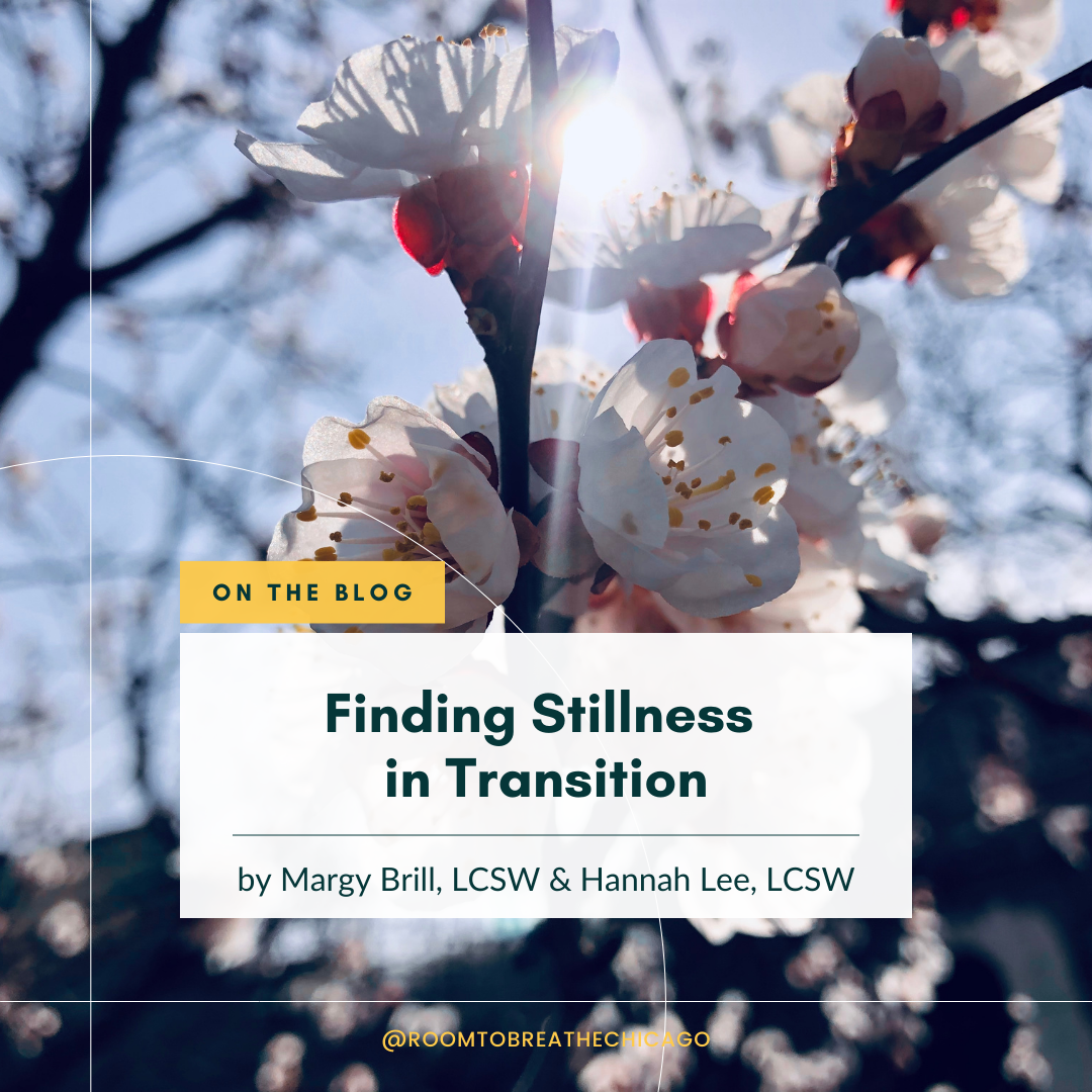 Finding Stillness in Transition