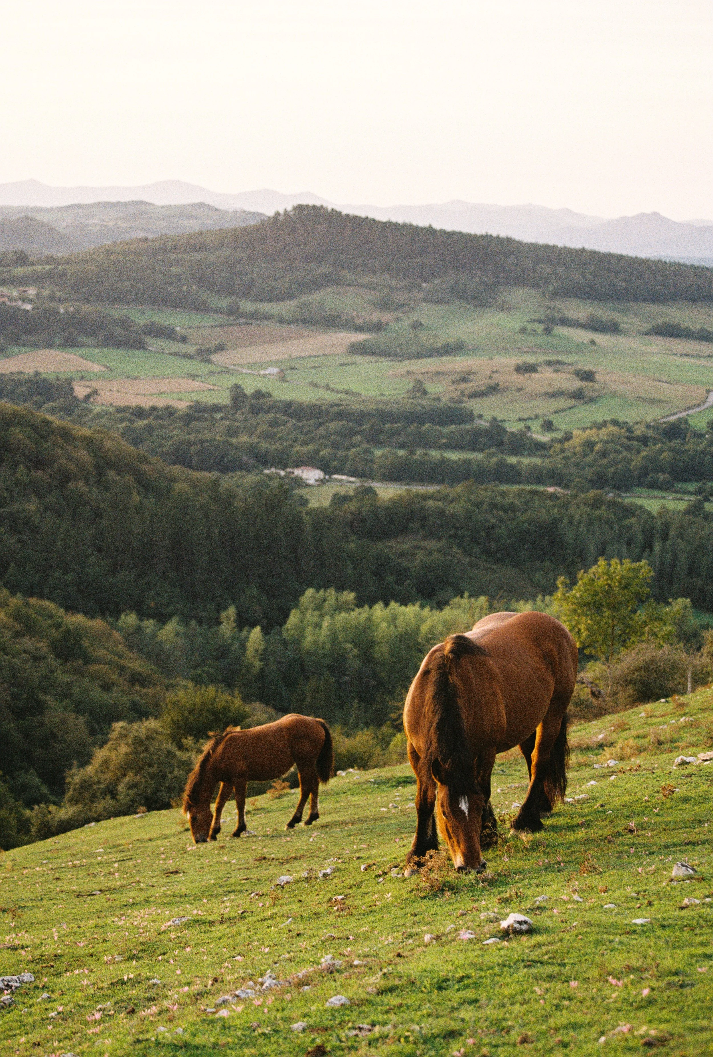 euskadi_0039.jpg