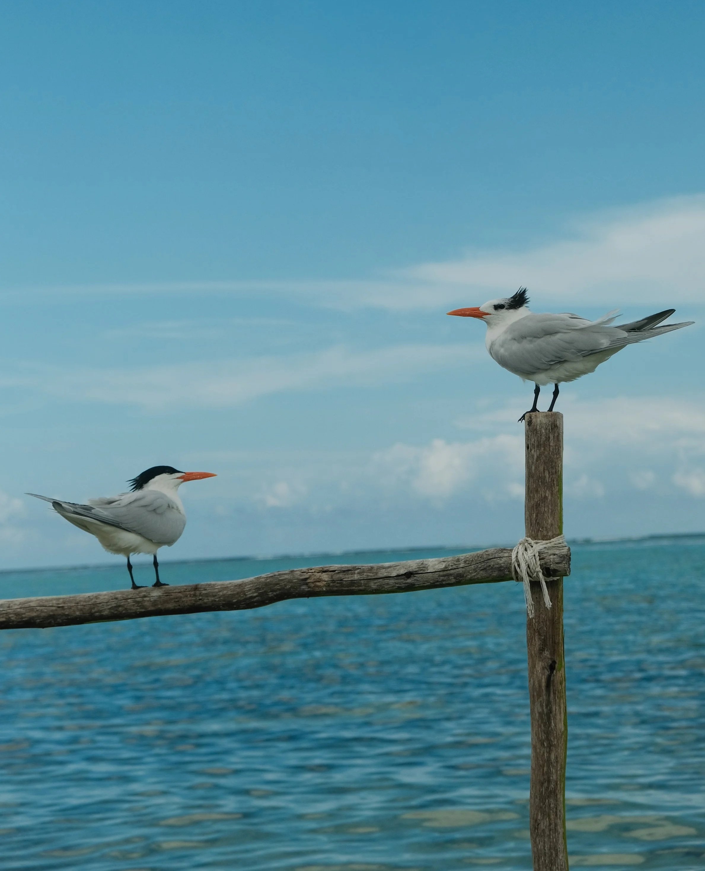 DSCF0878.jpg
