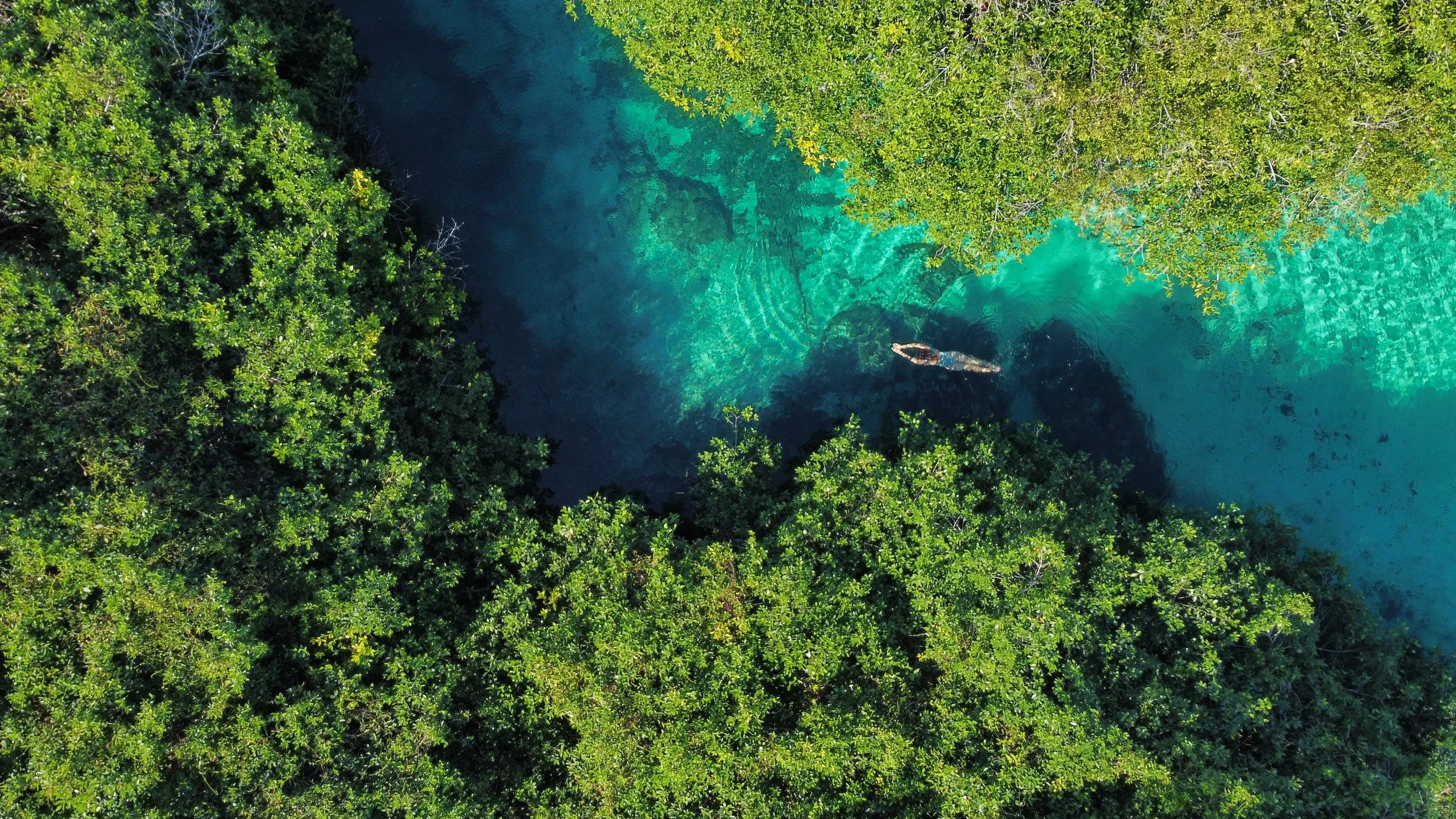 dji_fly_20230109_143826_148_1673293142001_photo_optimized.JPG