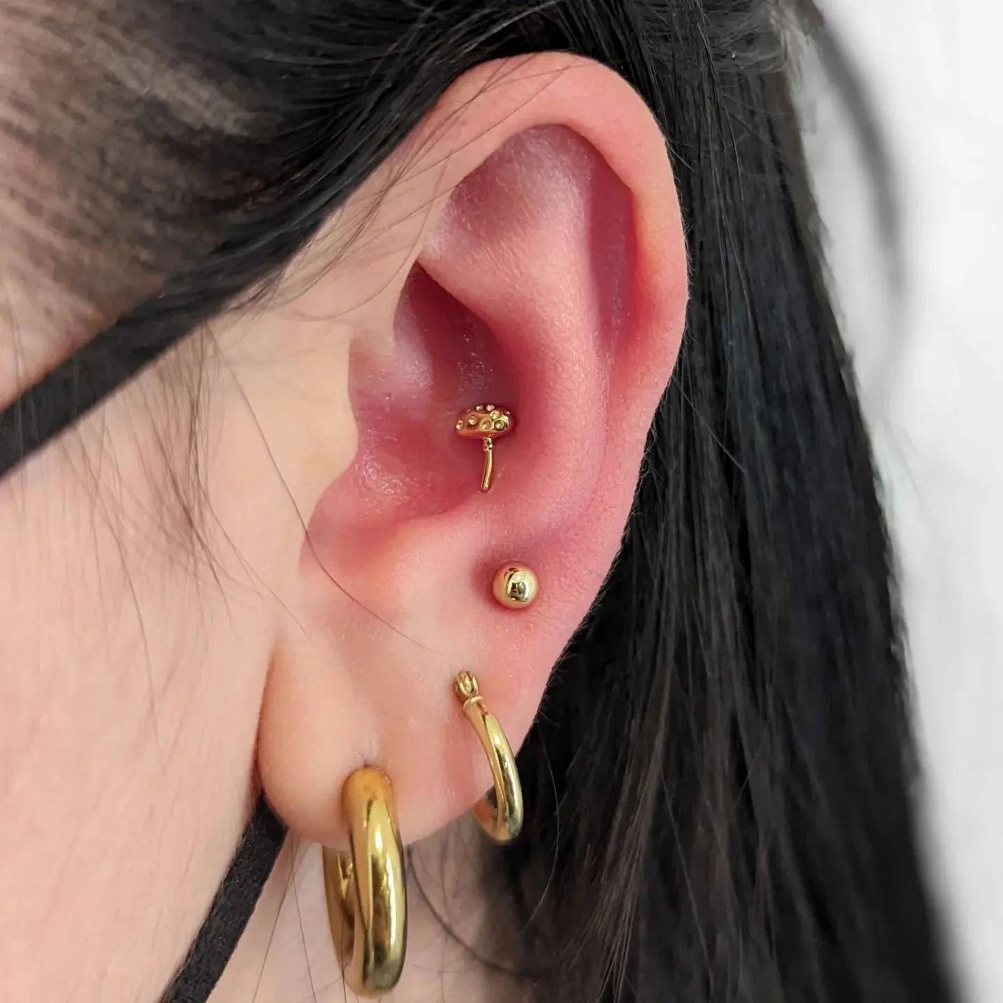 Fresh conch for my colleague with the cute &quot;Dotty's Friend Spotty&quot; mushroom from @junipurrjewelry !

#conchpiercing #conch #piercing #piercings #torontopiercer #goldjewellery #chronicink #junipurrjewelry