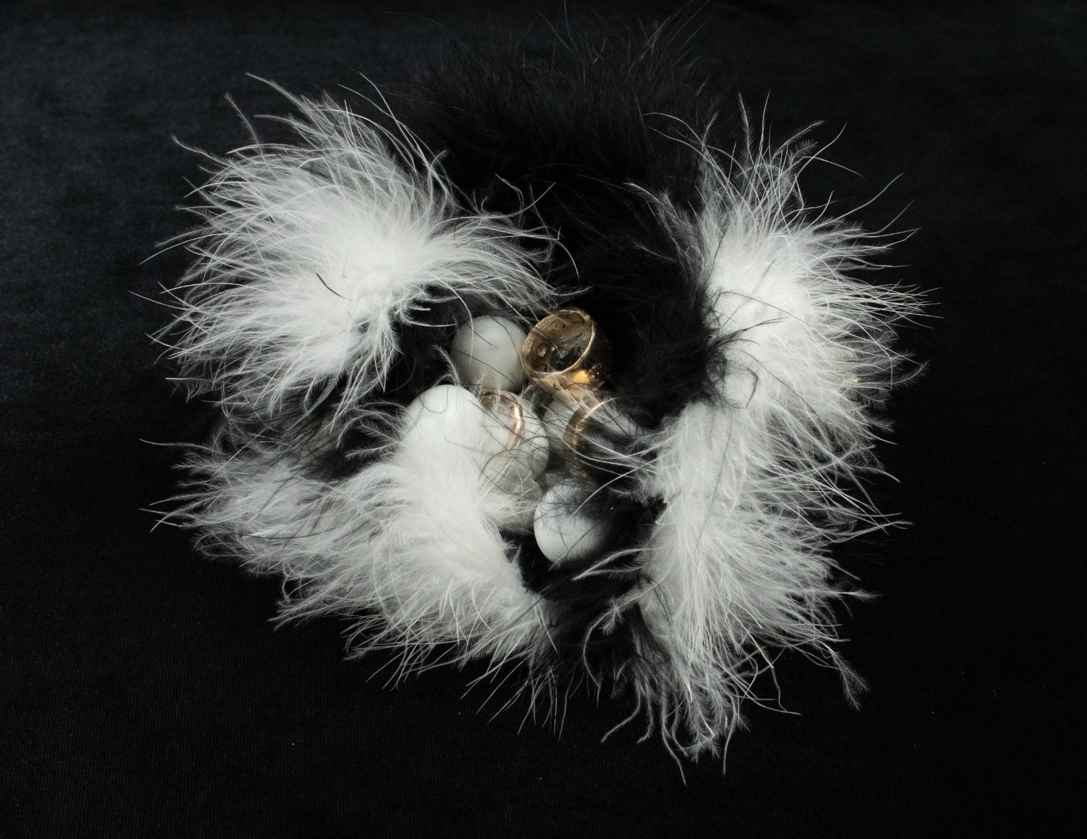 Greedy Little Magpie