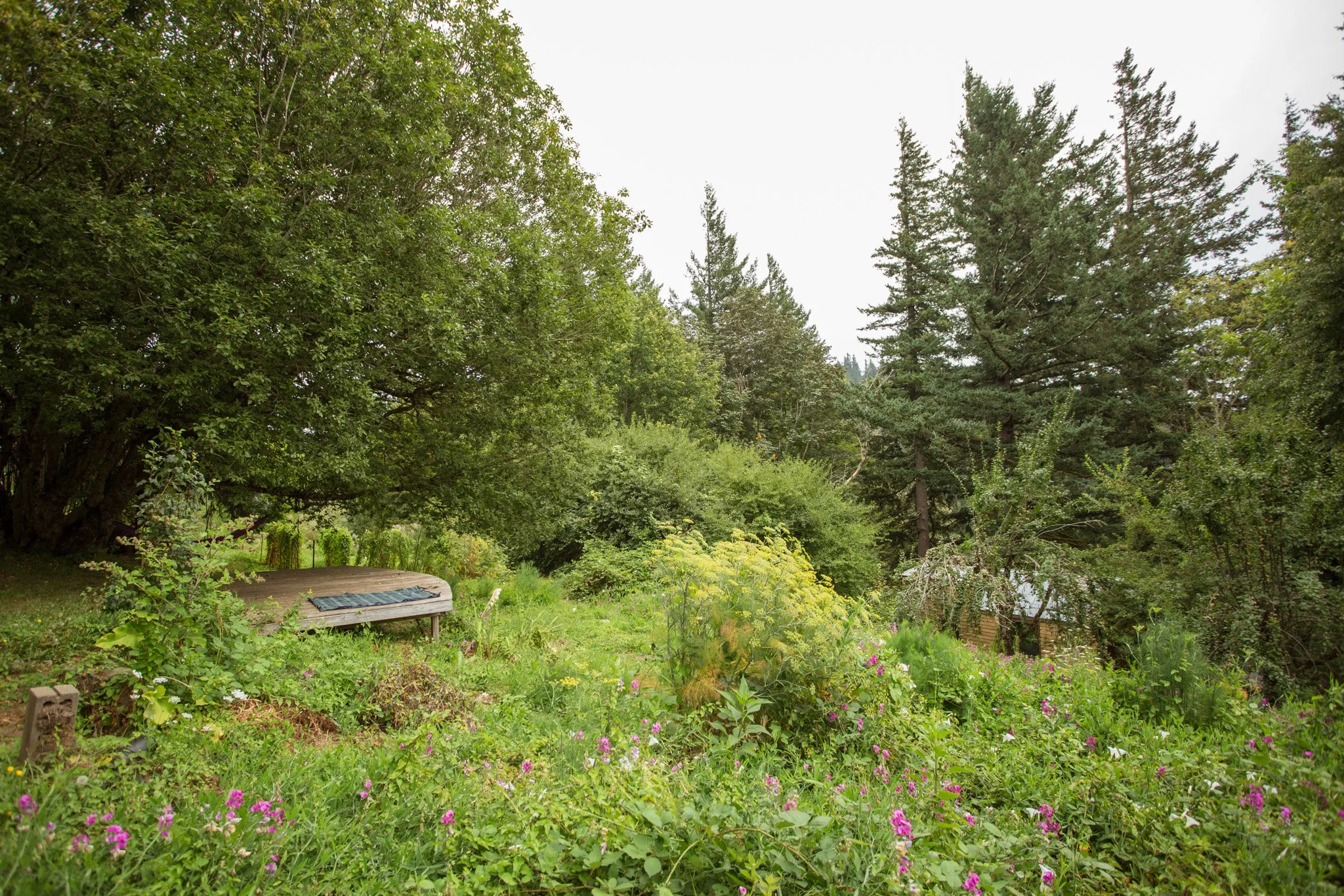 A shaded wooden deck overlooks the lush vegetation of Stone's Throw