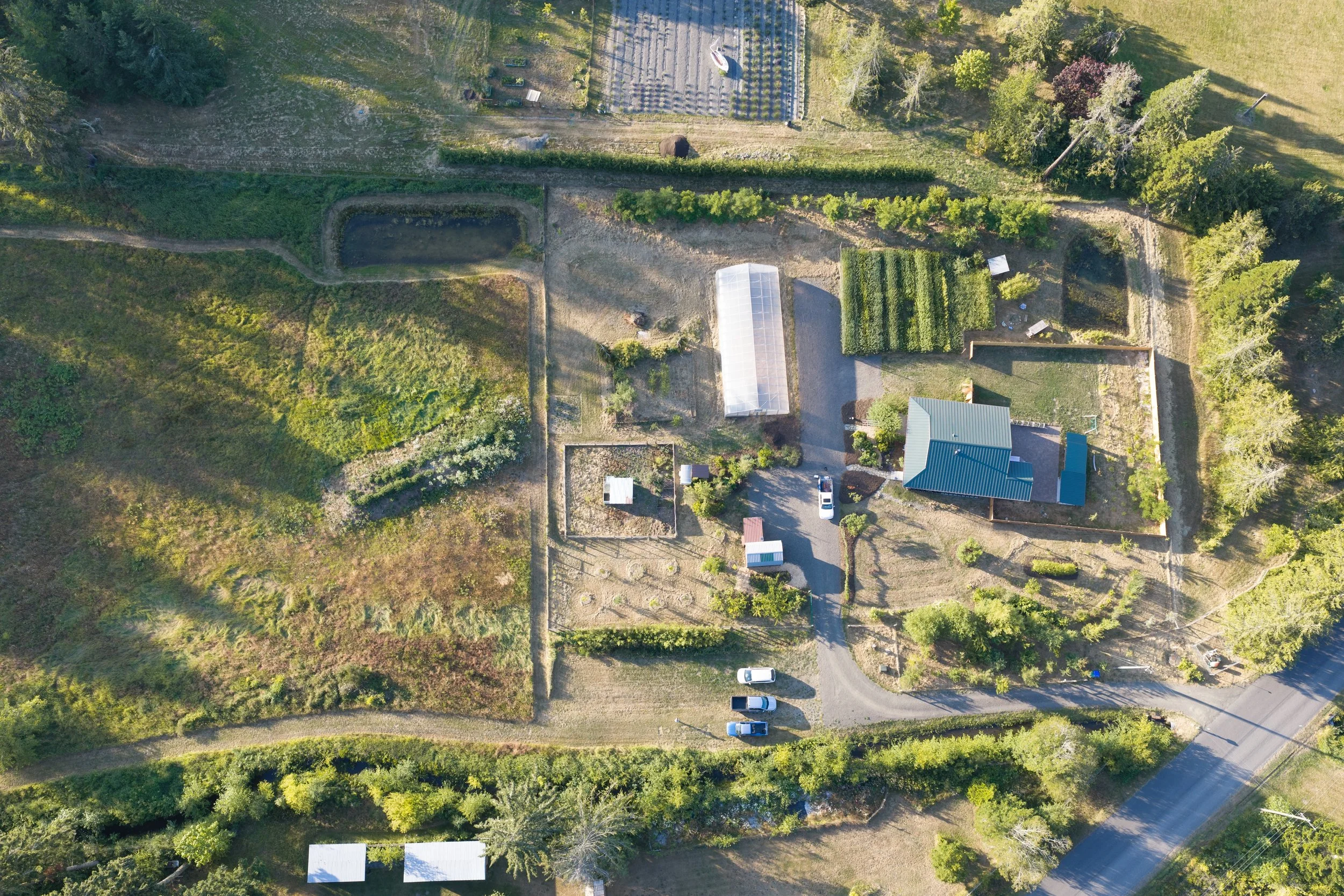 be-easy-farm-aerial-property-overview-sequim-wa.jpg