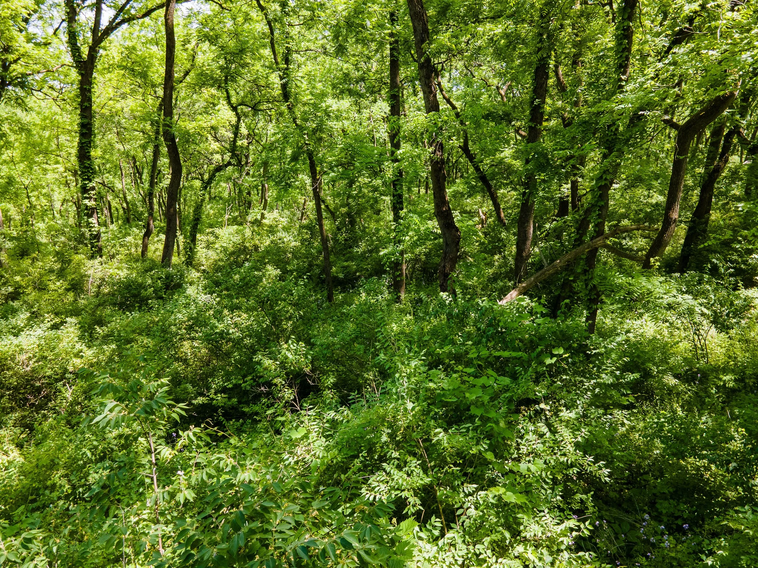 5458 N Clay Hill Road-37.jpeg
