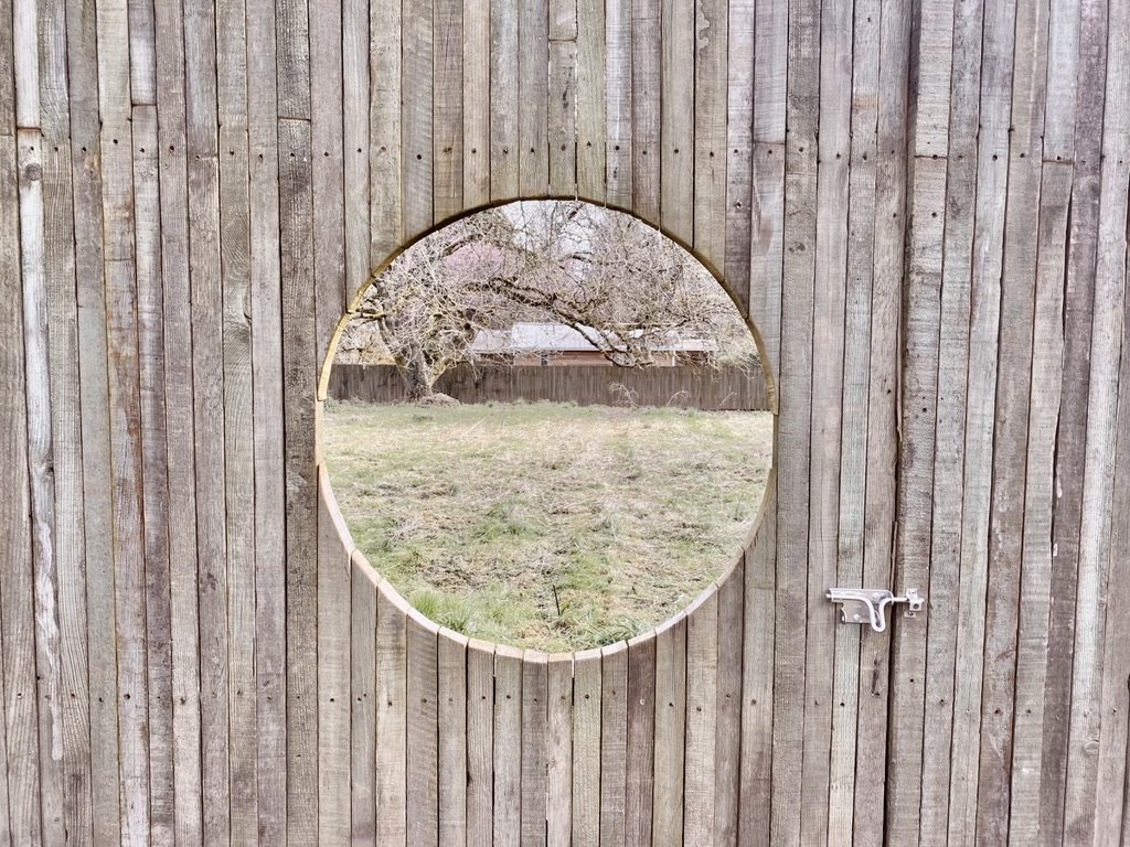 Magical Meadow in the City
