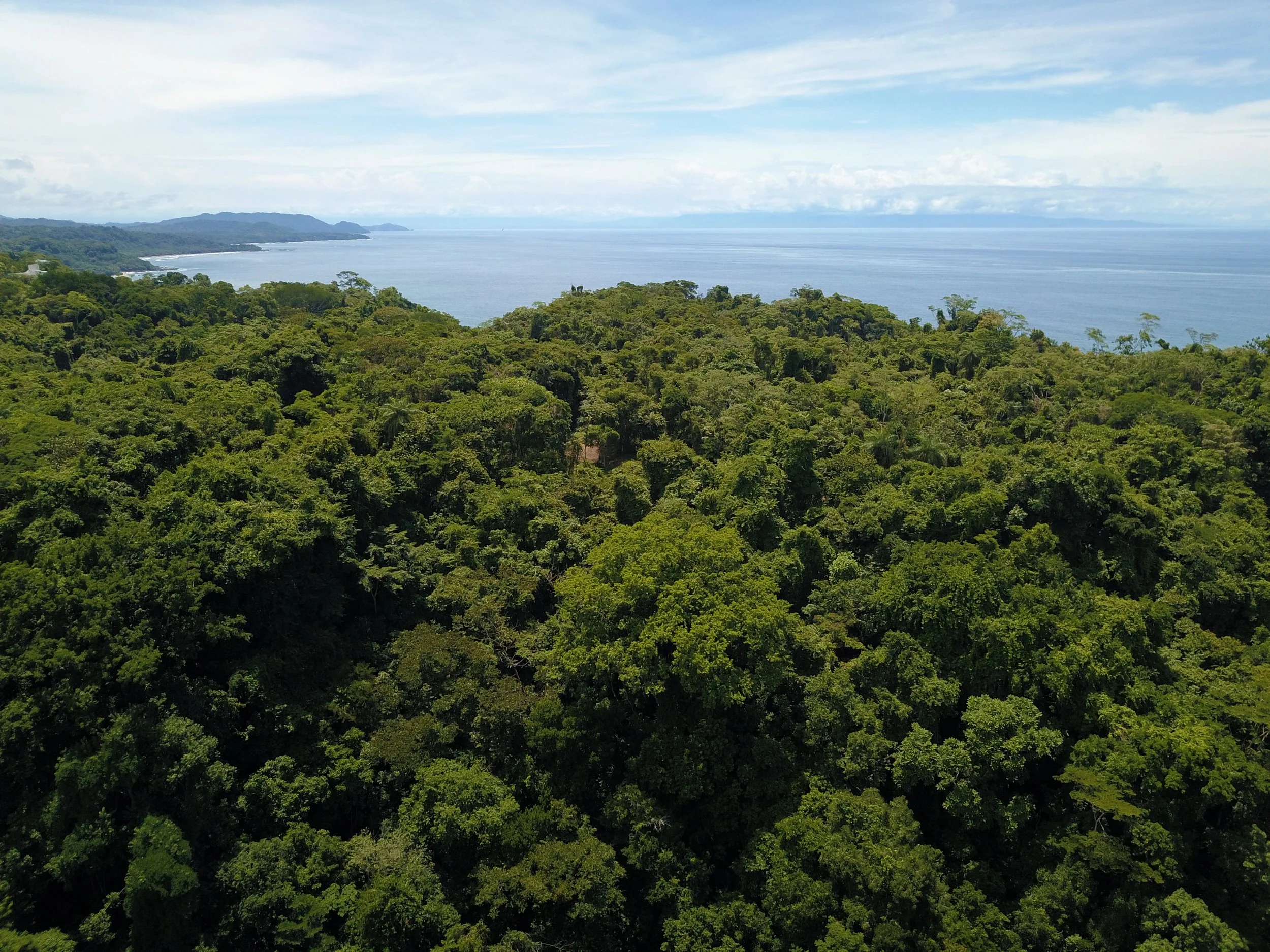 DJI_0101_view towards playa grande.jpg