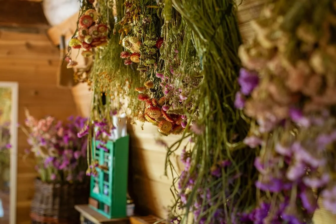 Do you ever dream of co-creating an intentional community&mdash;where families come together to share land, honor the earth, and live in alignment with their deepest values?

Welcome to Heartwood Homestead: 37 acres of meadows, forest, and possibilit