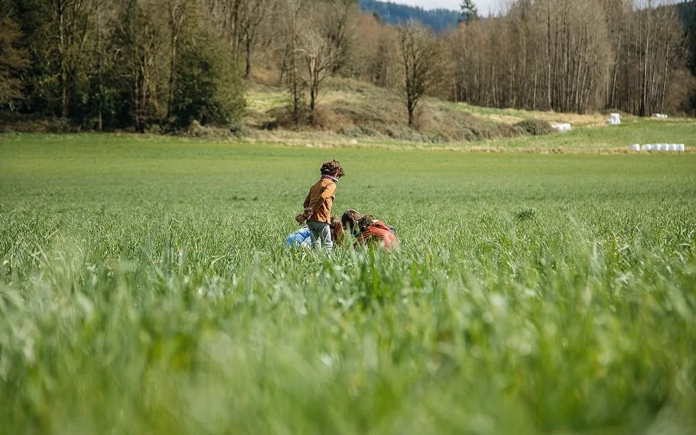 What if your neighborhood felt like family?

That&rsquo;s the vision behind cohousing &mdash; communities designed for connection, collaboration, and shared resources.

Imagine private homes clustered around common spaces, where neighbors cook togeth