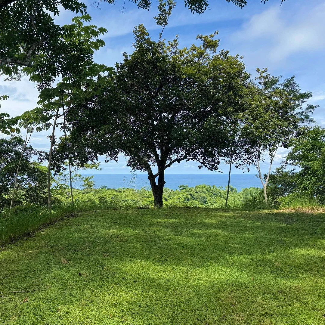 For Sale: The Overlook at Montezuma Verde 🌿

Not just land &mdash; a living canvas. Perched 500&rsquo; above sea level with 120&deg; ocean views, this 0.77-acre gem in Cabuya has been lovingly stewarded with 6 years of permaculture design. A biophil