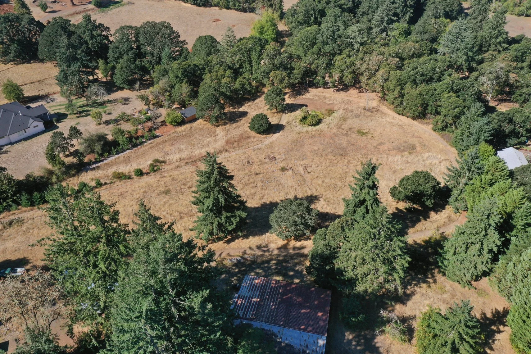 DJI_0386.jpg