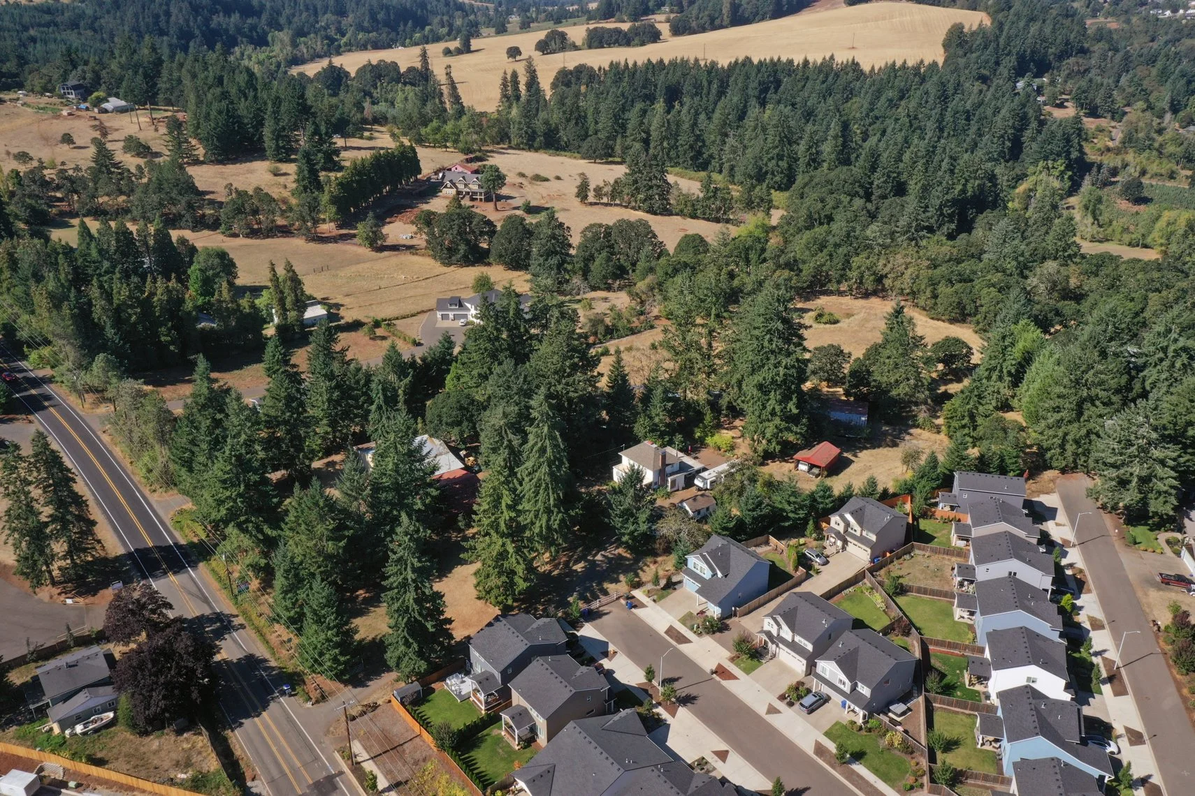 DJI_0389.jpg